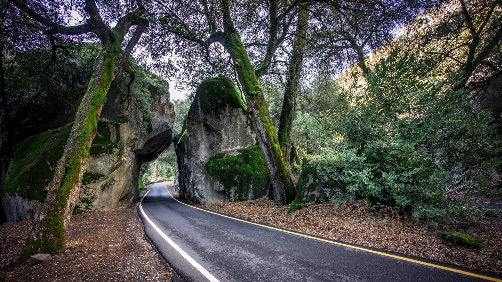 sony, green, US, street, outdoors, fullframe, geotagged, United States, a7, valley, yosemite, mountain, nature, grey, street photography, California, nature  park, HD Wallpaper