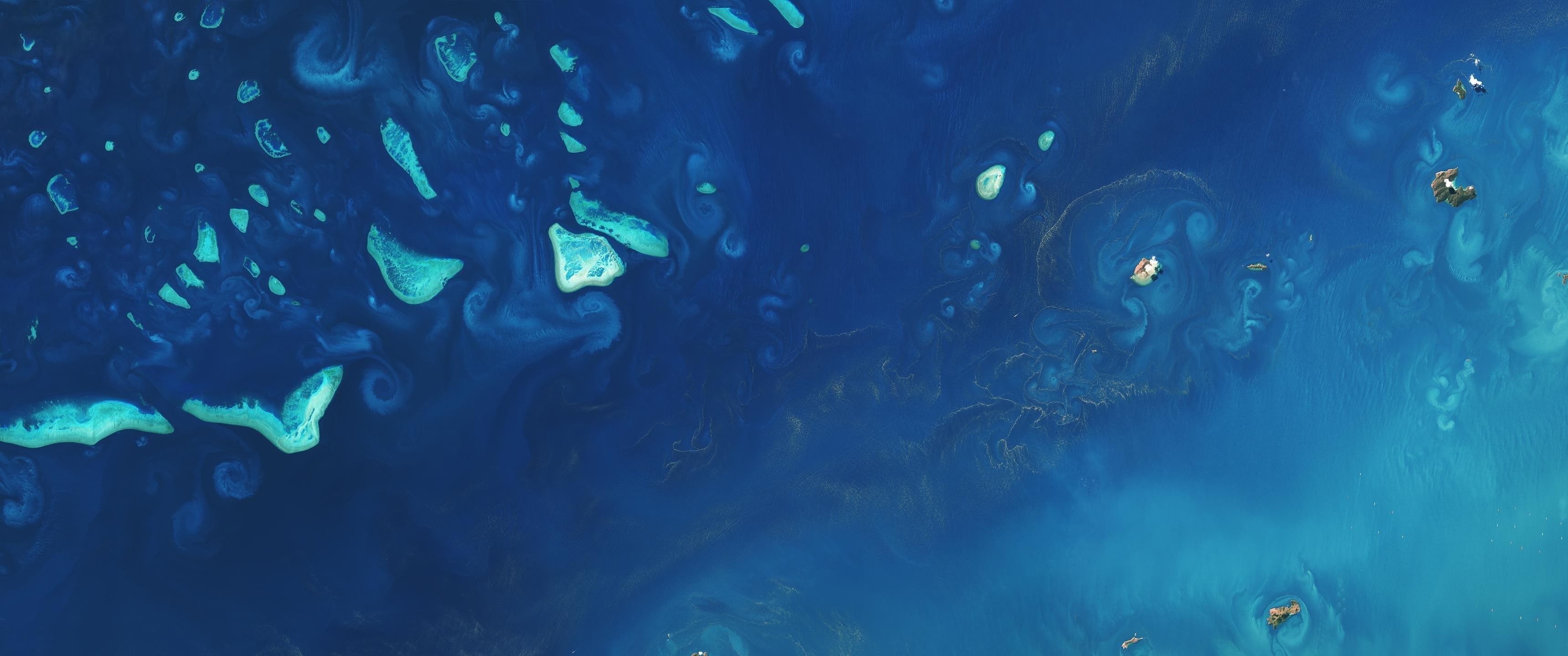 fish, underwater diving, animal, school of fish, swimming, sea, animal wildlife, animal themes, snorkeling, vertebrate, ultrawide astrophotography space blue, HD Wallpaper