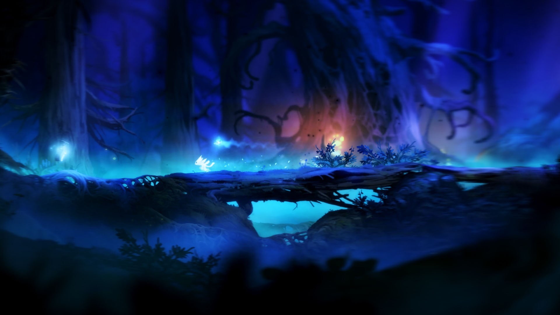 tree, lighted, trees, blue, purple, illuminated, blurred motion, bonfire, fantasy art, smoke - physical structure, plant, heat - temperature, night, dark, HD Wallpaper