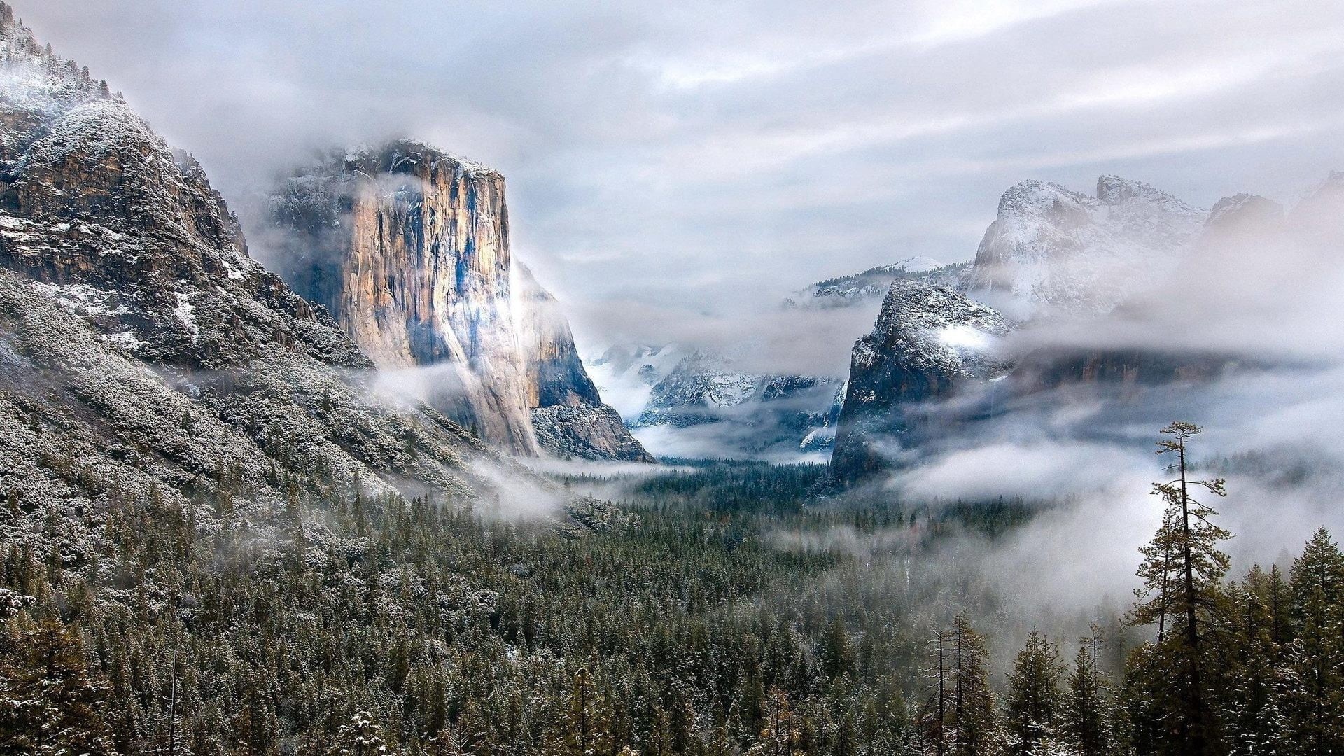 snow, nature, 1080P, mountains, snowcapped mountain, scenics - nature, forest, tree, landscape, beauty in nature, pine tree, mist, land, Yosemite National Park, HD Wallpaper