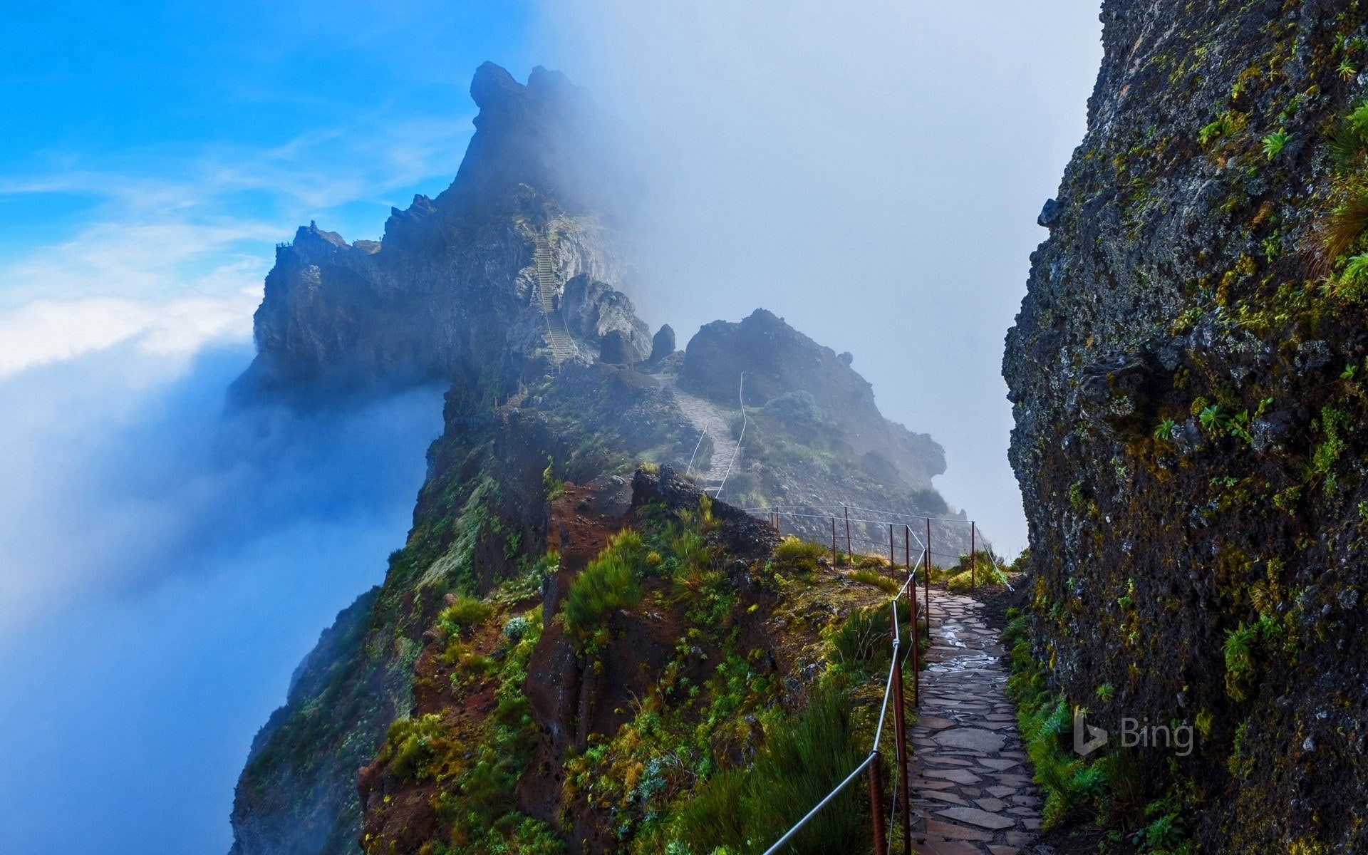 environment, plant, outdoors, tranquil scene, scenics - nature, tranquility, rock, cloud - sky, madeira, water, trail, sky, 1080P, nature, no people, beauty in nature, HD Wallpaper