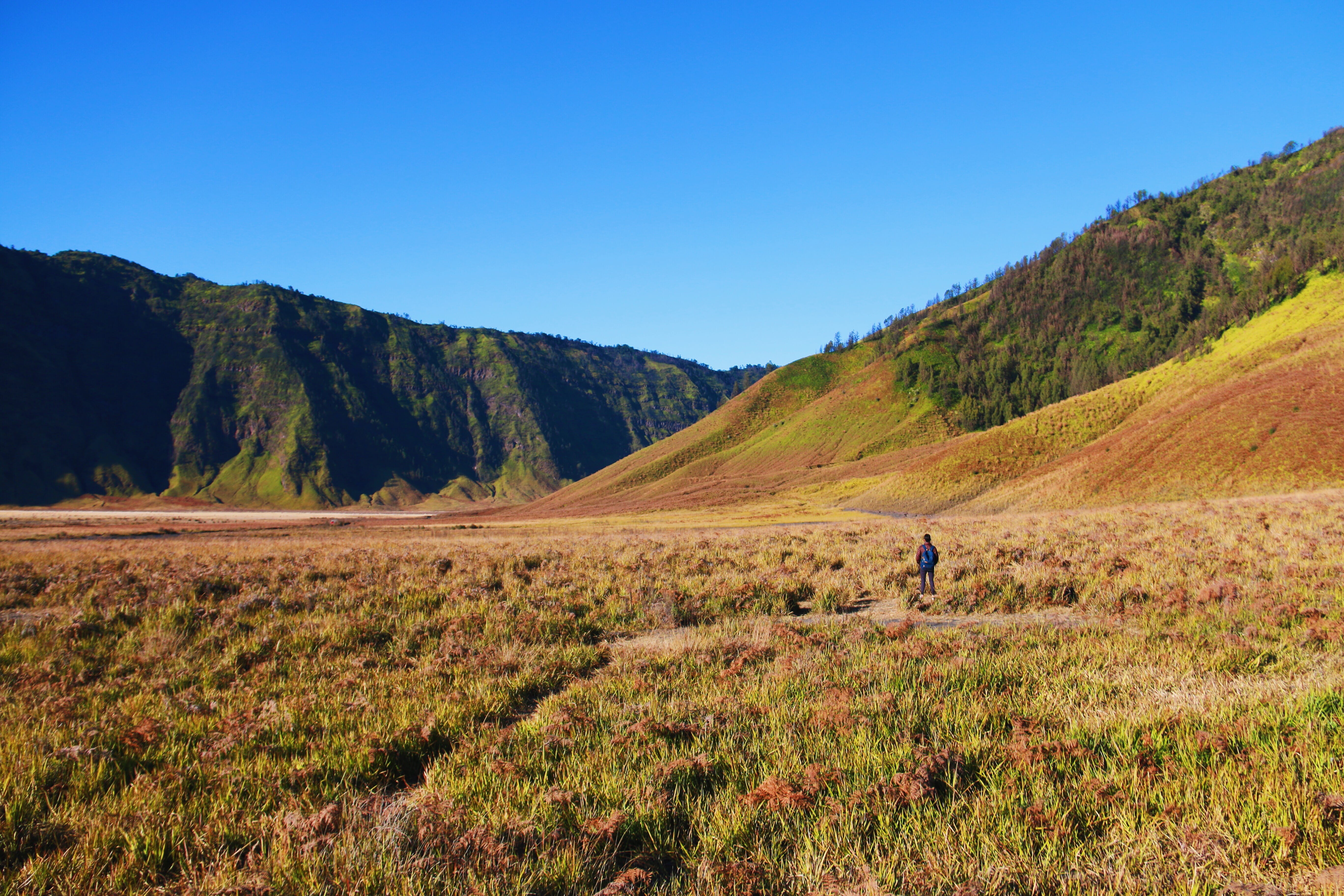 green, bromo, mountain range, beauty in nature, mountain, one person, forest, grass, tree, clear sky, bromo tengger semeru national park, landscape, non-urban scene, HD Wallpaper