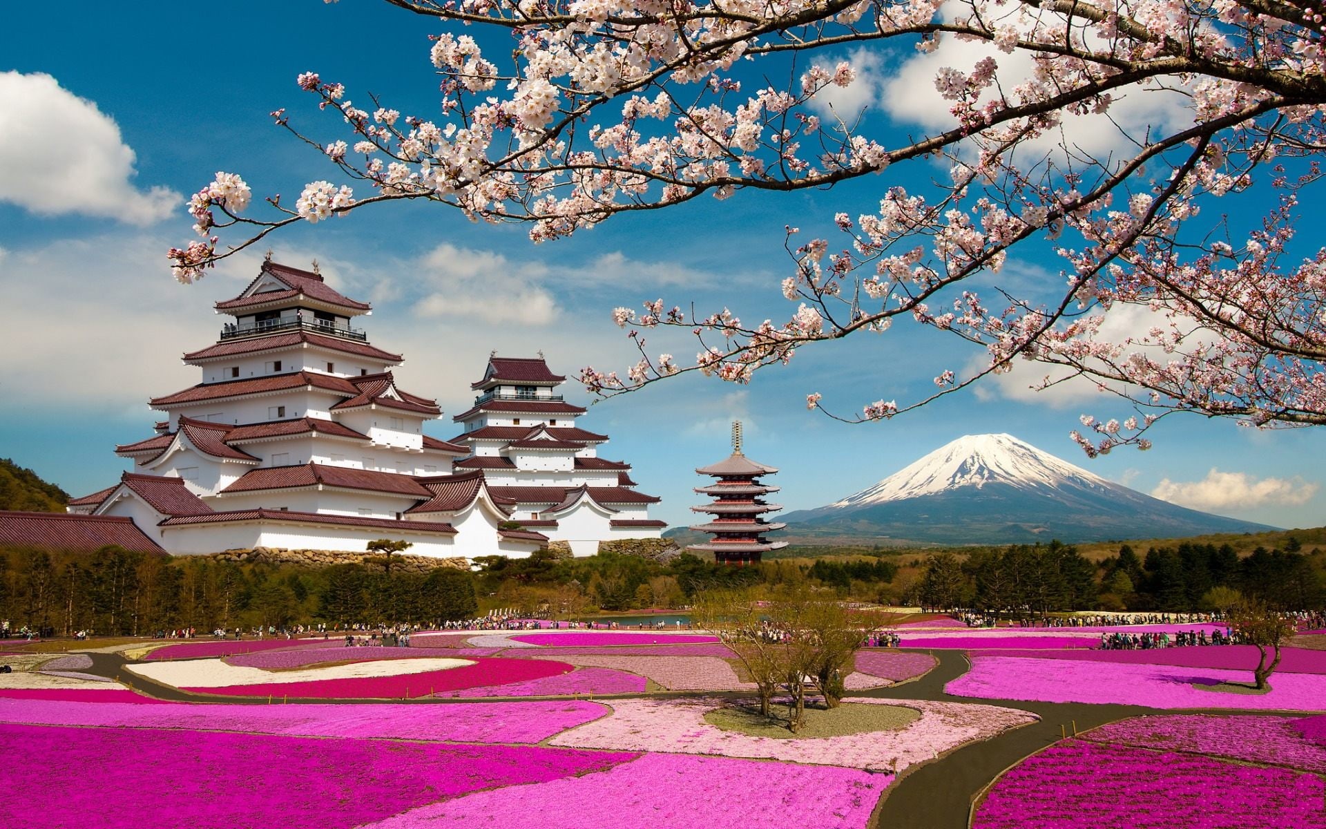  volcano, mountains, widescreen, mount, sakura, tsuruga, branches, cities, castle, fuji, hd, parks, japan, fukushima, pagodas, aizuwakamatsu, HD Wallpaper
