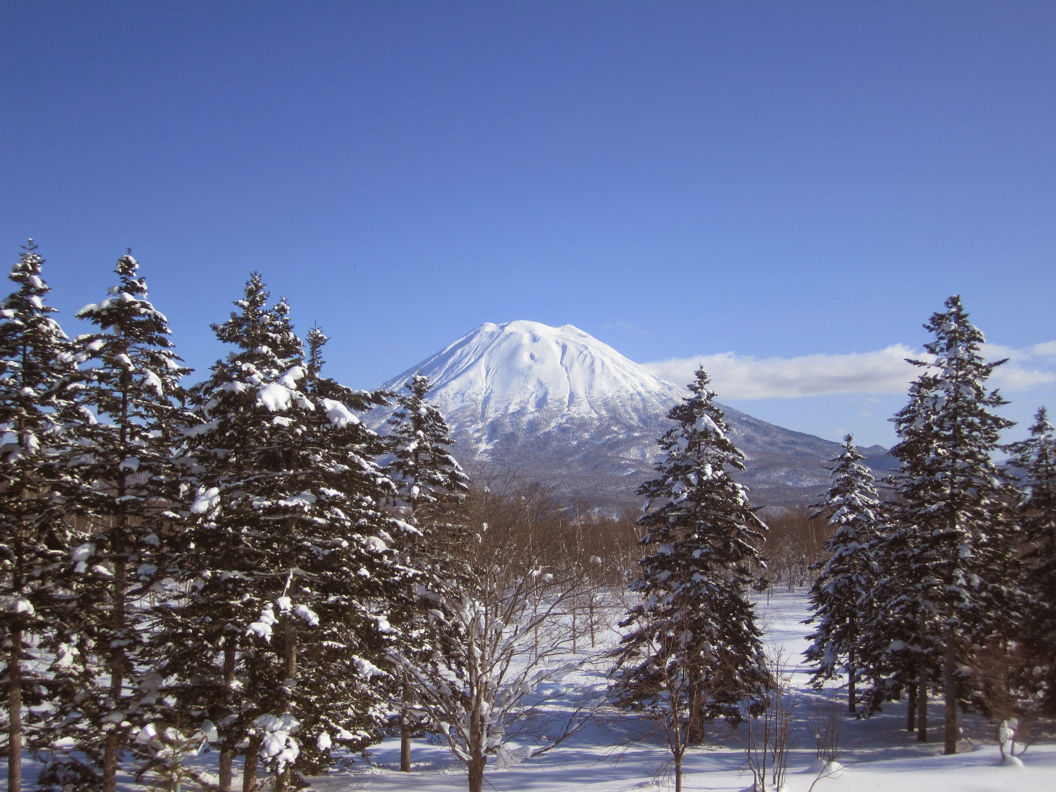 mountain peak, snowcapped mountain, winter, tranquil scene, clear sky, plant, ski, 4K, niseko, beauty in nature, nature, sky, pine tree, outdoors, tree, HD Wallpaper
