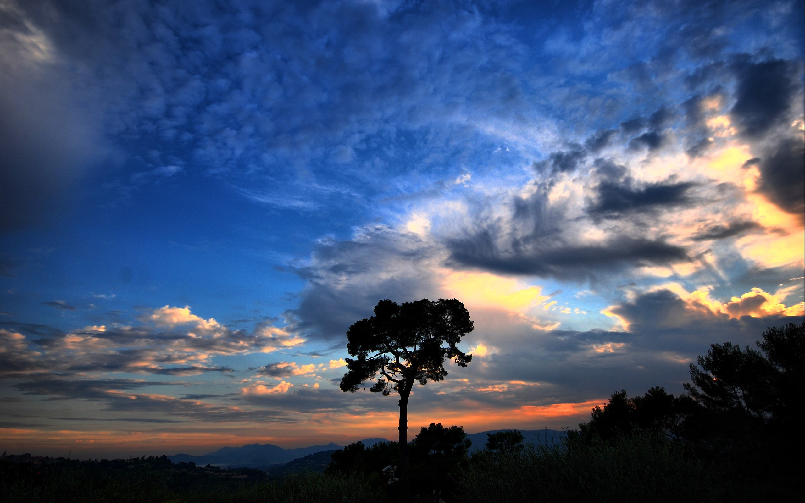 2K, sky, silhouette, photo, dramatic, tree, HD Wallpaper