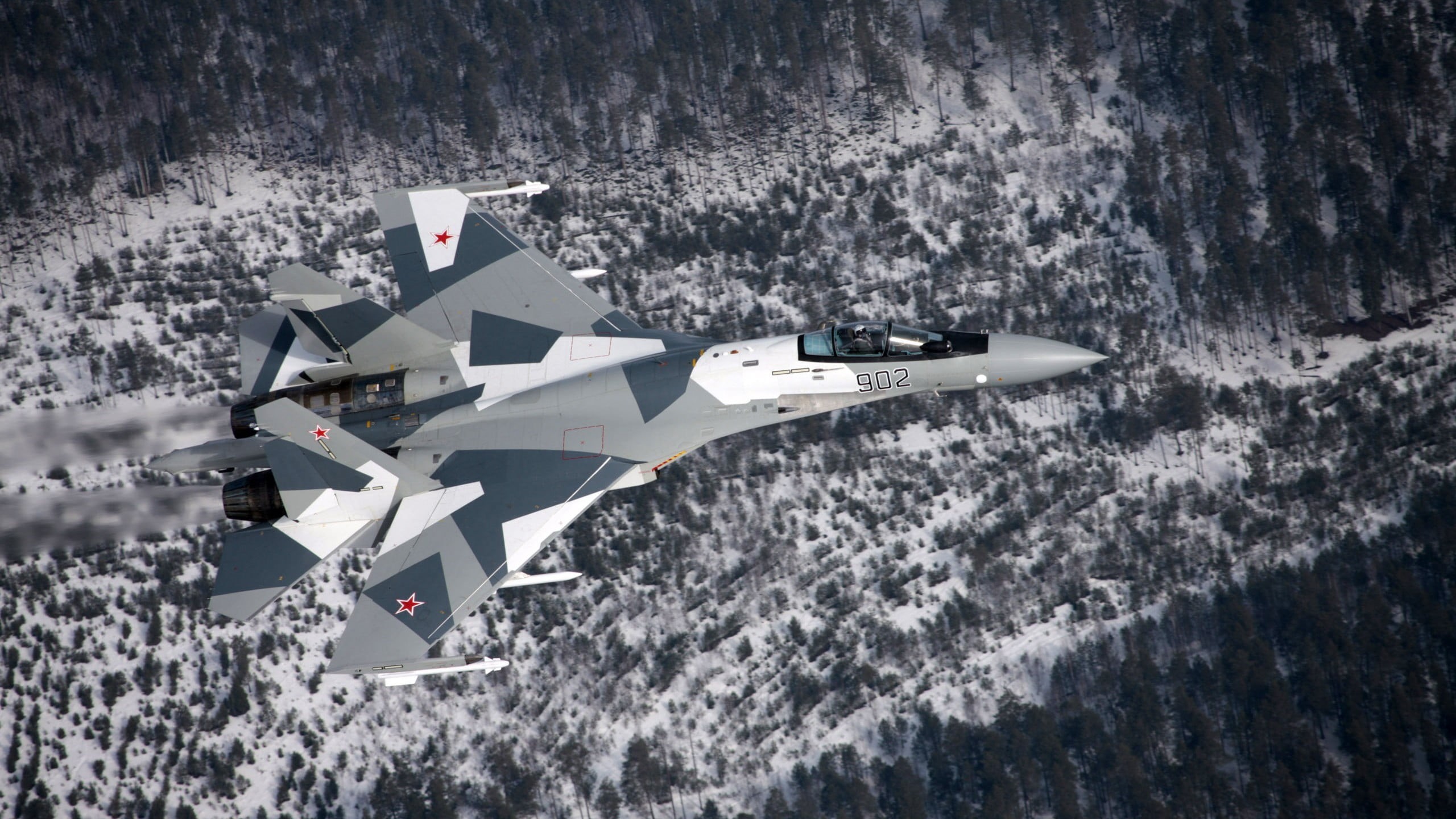 military aircraft, plane, day, transportation, mode of transportation, Russian Air Force, 2K, no people, high angle view, Sukhoi, tree, flying, motion, HD Wallpaper