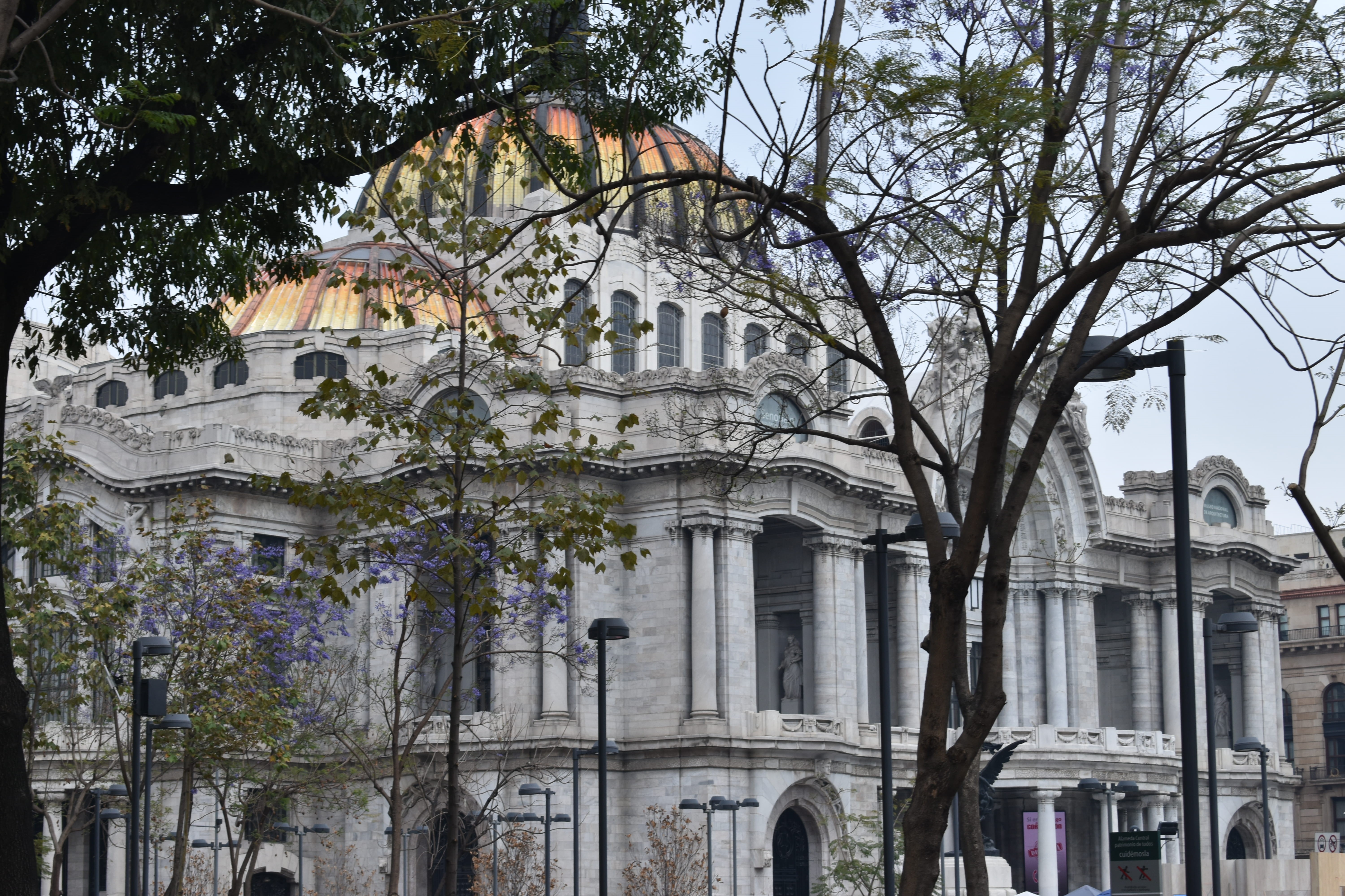 outdoors, place of worship, tree, belief, building exterior, plant, arch, urban, built structure, sky, low angle view, cdmx, city, architecture, ciudad de méxico, HD Wallpaper