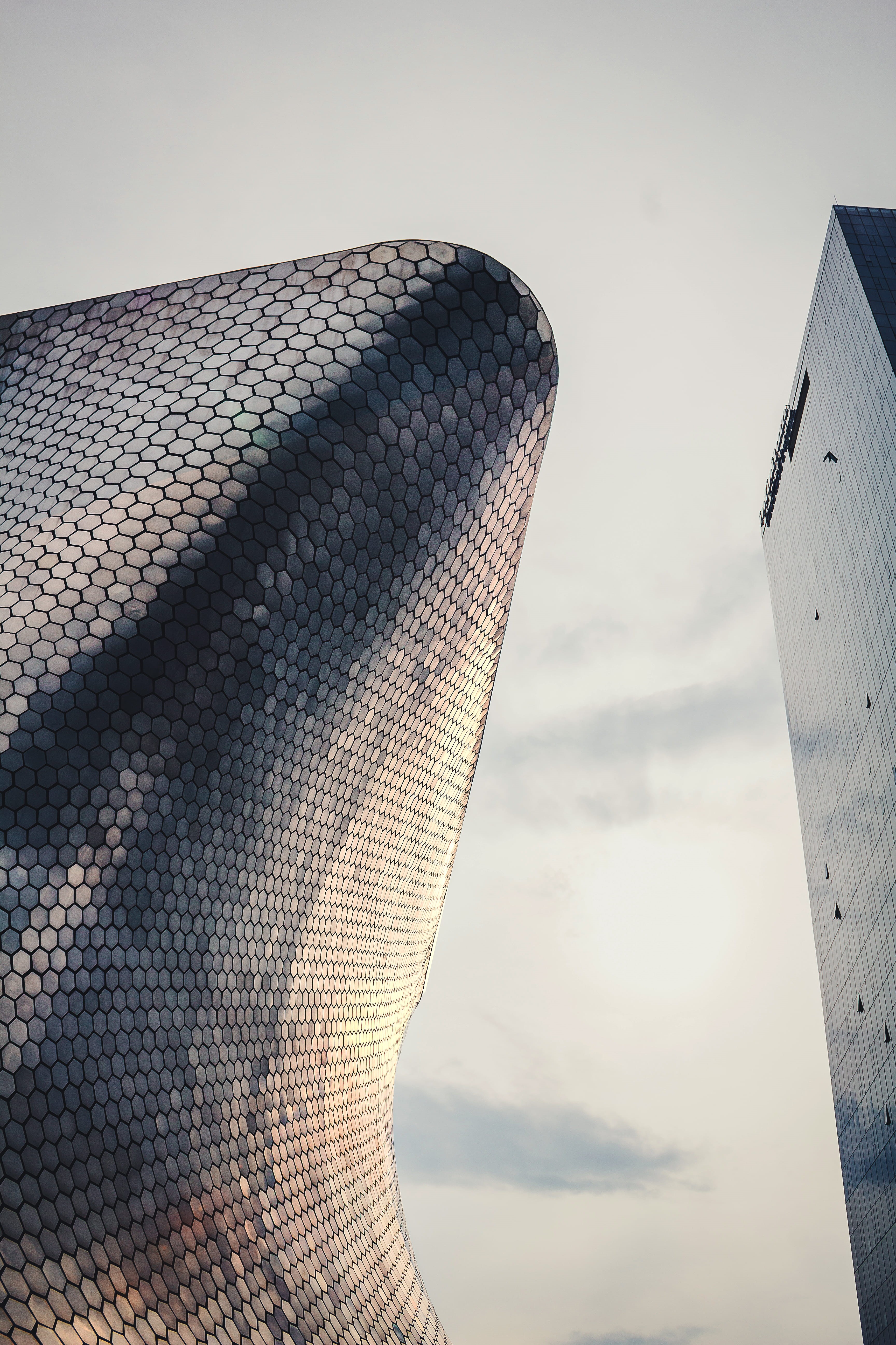 focus on foreground, office, architecture, skyscraper, mexico, nature, 5K, ciudad de méxico, building, close-up, cloud - sky, sky, sunset, tall - high, Phone HD Wallpaper