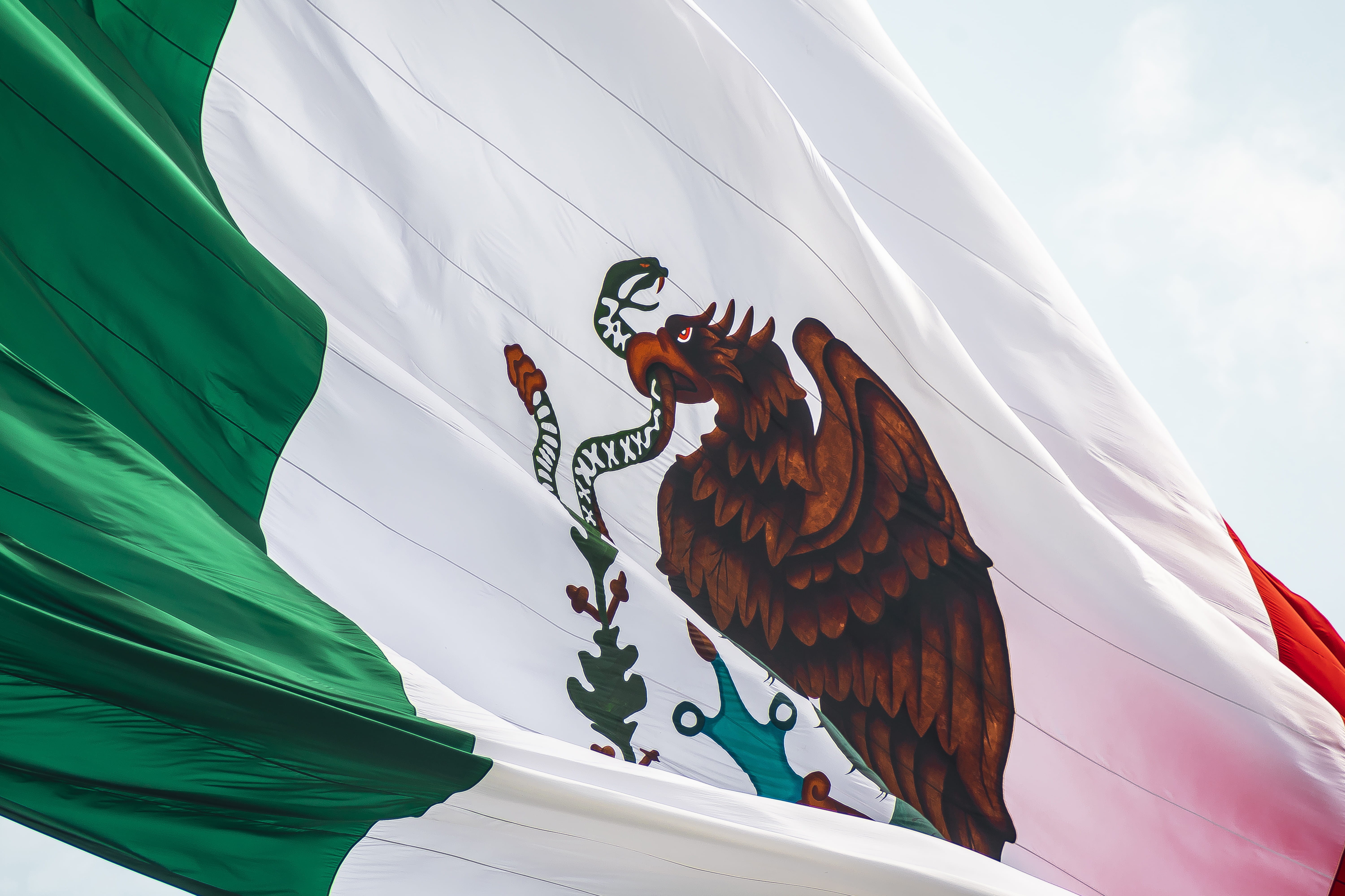 monterrey, no people, flag, textile, 5K, day, sky, animal wildlife, green color, patriotism, animal, bandera, bird, low angle view, cloud - sky, representation, HD Wallpaper