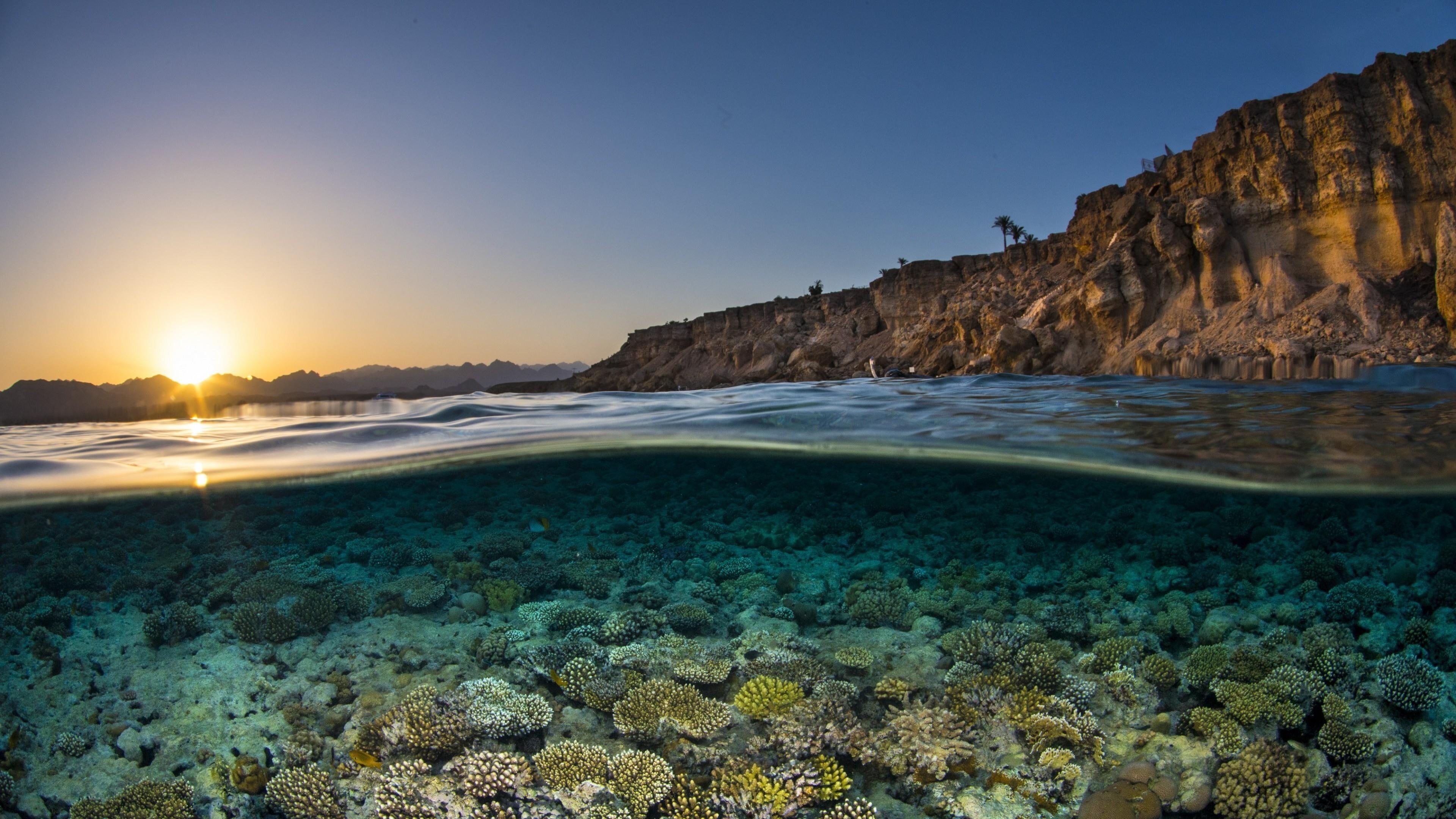 water, beach, sky, coast, horizon, coral, shore, 4K, sea, cliff, coral reef, ocean, rock, HD Wallpaper