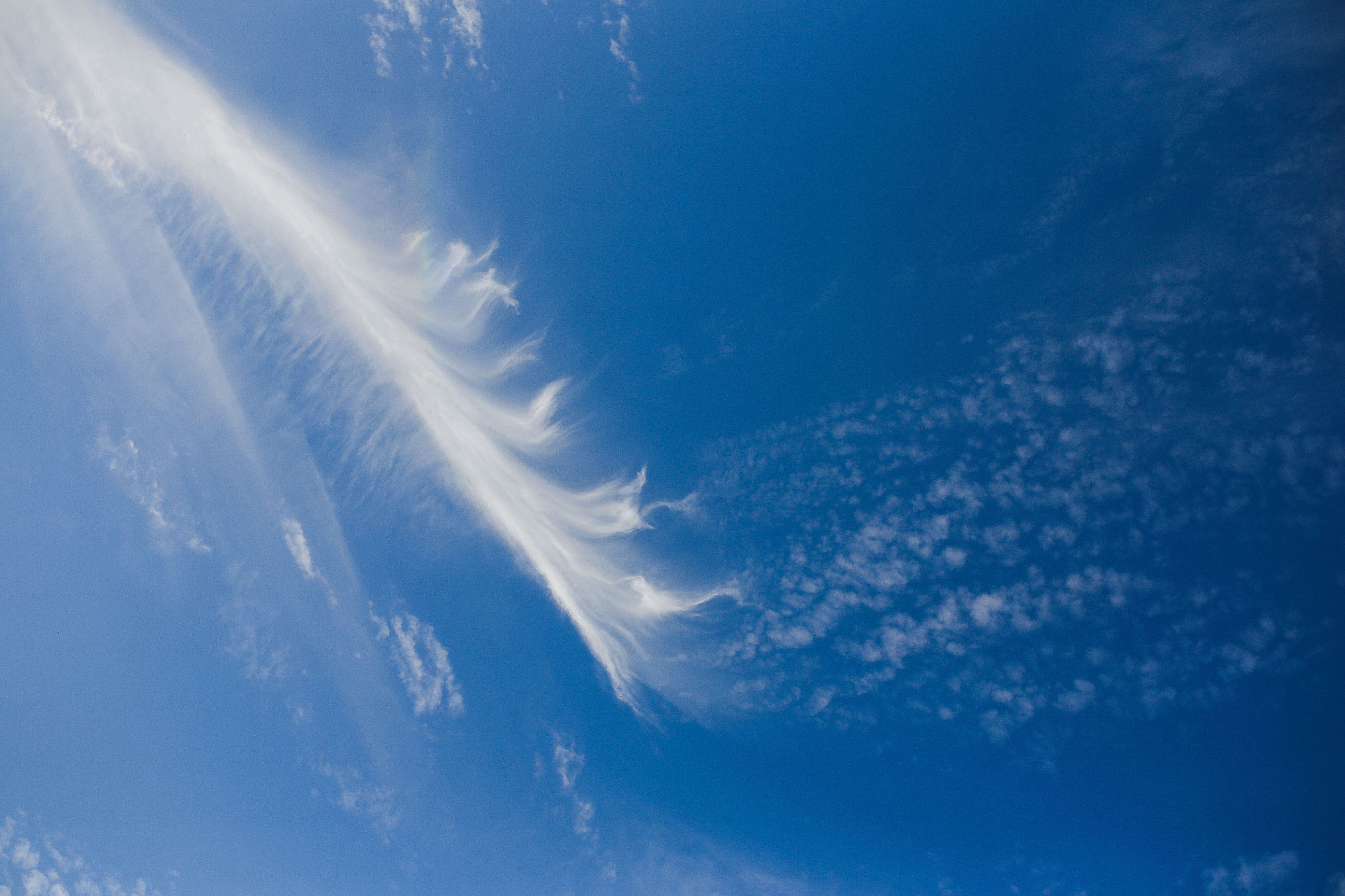 environment, sunlight, wind, atmosphere, scenics - nature, wispy, beauty In Nature, clear, meteorology, climate, white color, cloudscape, outdoors, backgrounds, HD Wallpaper