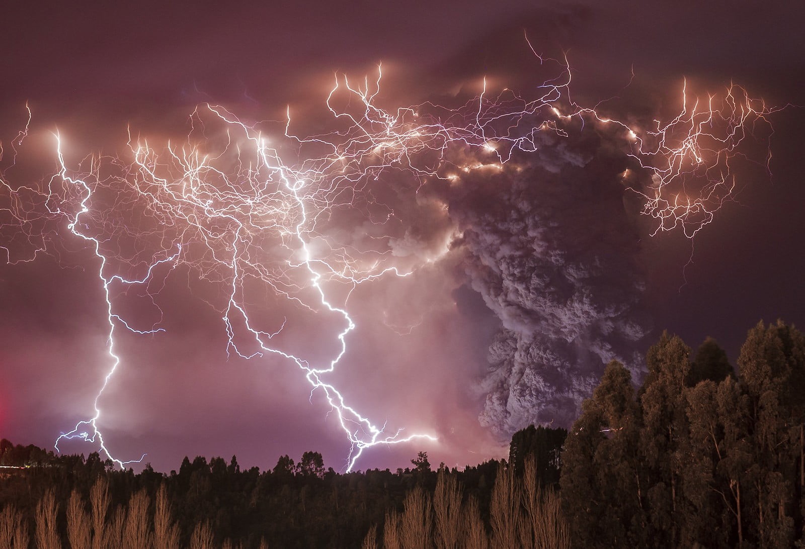 720P, forest, lightning, nature, photography, graphic, storm, HD Wallpaper
