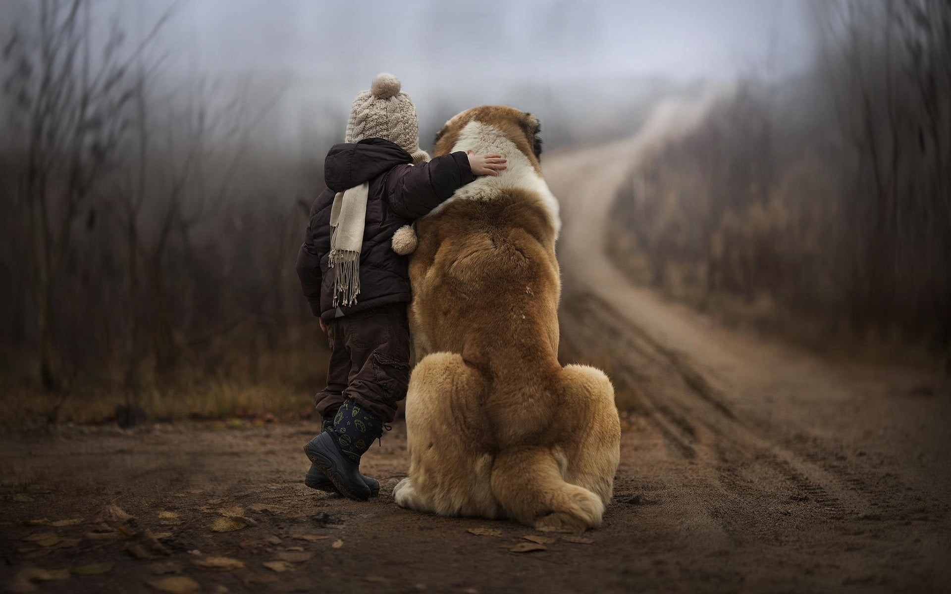 children, coated, full length, friendship, canine, 1080P, day, domestic, pets, retriever, depth of field, people, rear view, dog, brown, nature, domestic animals, HD Wallpaper