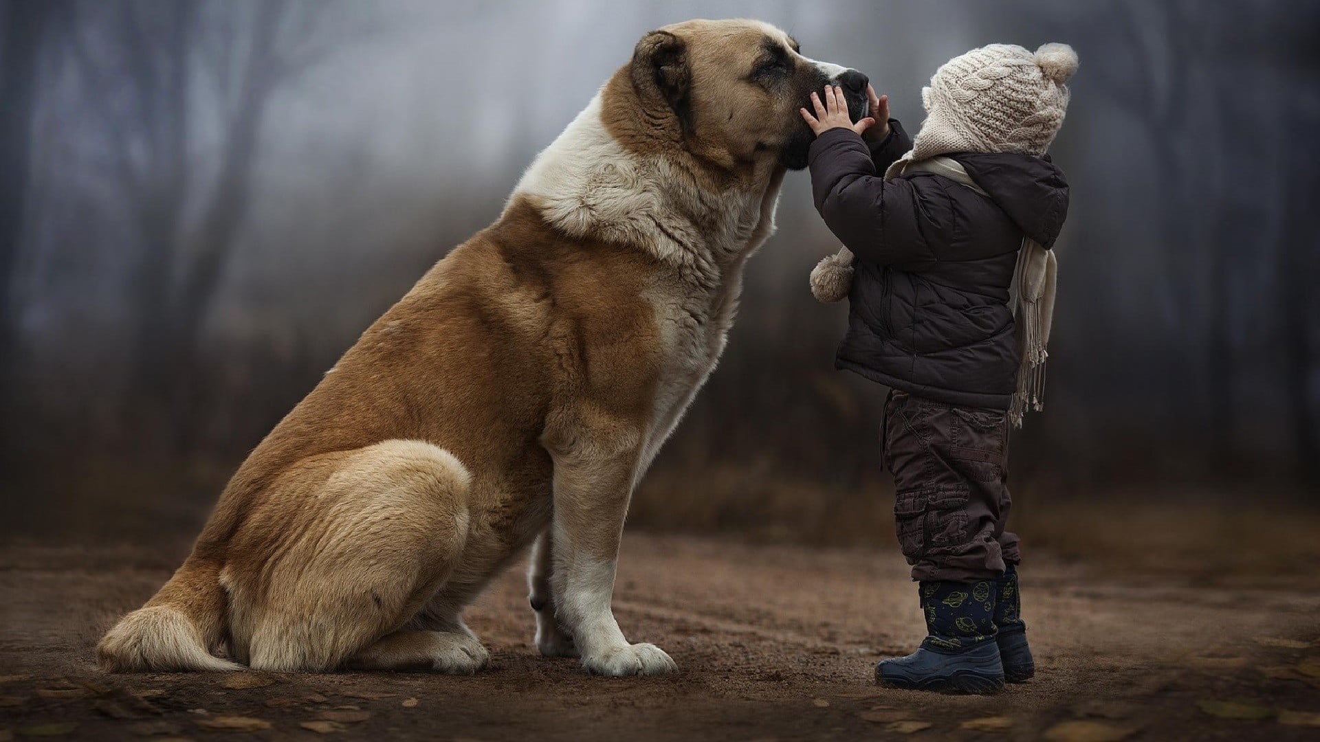 full length, coated, canine, Friends, domestic, one person, vertebrate, hood - clothing, friendship, casual clothing, white, rear view, domestic animals, HD Wallpaper