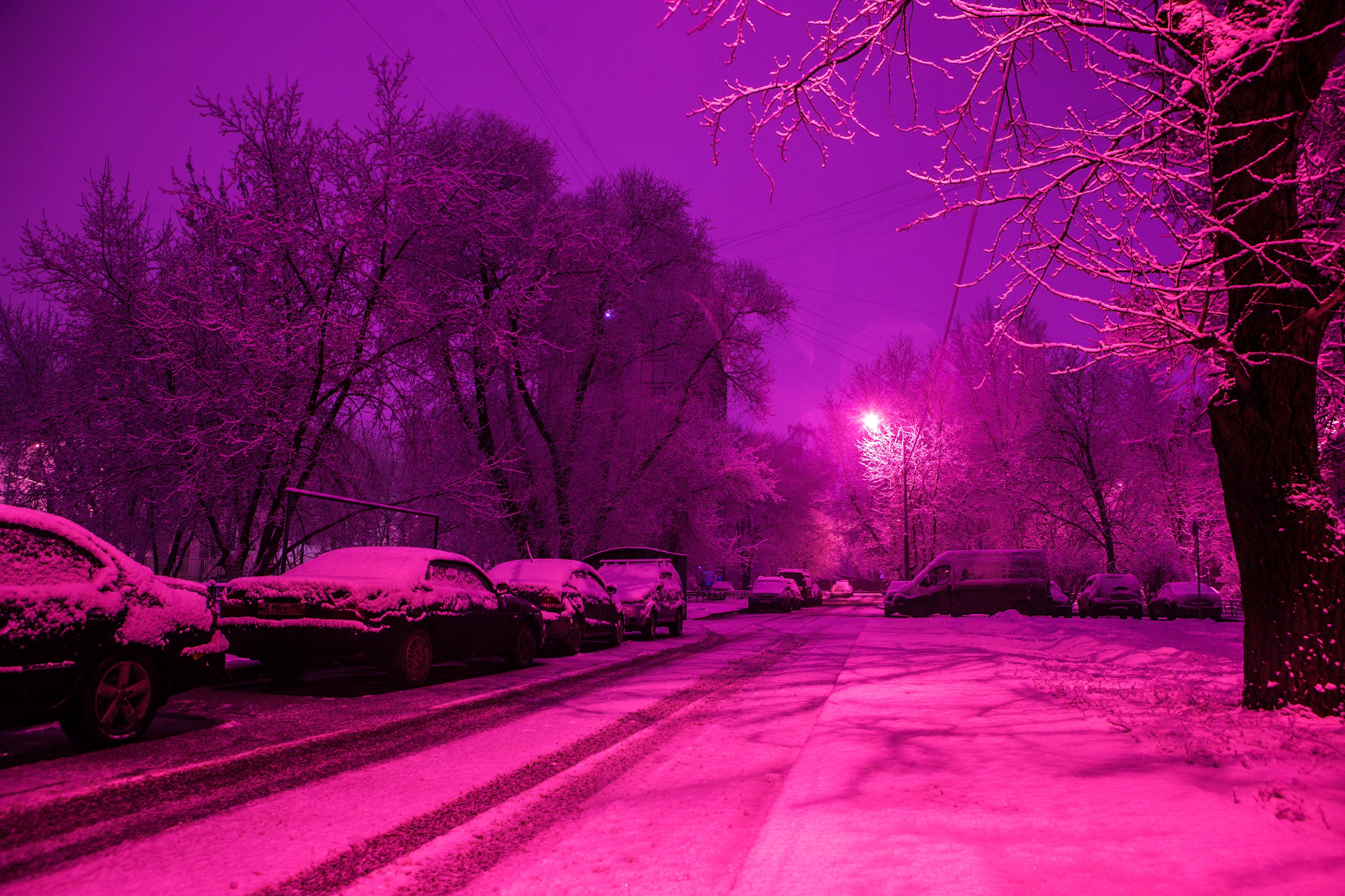 dark, business centre, snow, architecture, cold, megalopolis, outdoors, transport, trees, tree, no people, forest, plant, nature, structure, skyscrapers, HD Wallpaper