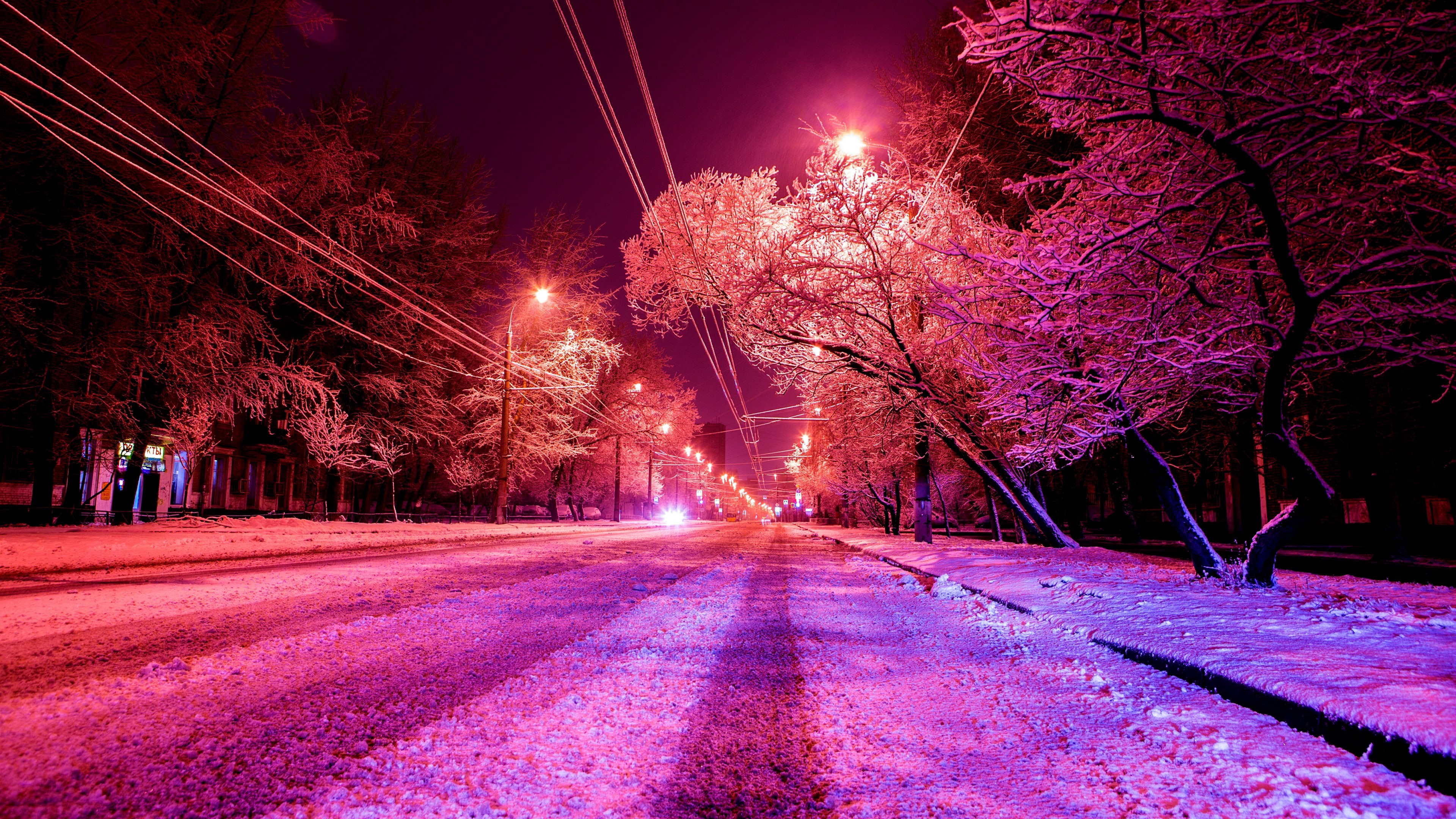 branch, purple, russia, road, moscow, light, lighting, hoarfrost, tree, frozen, street, 4K, night, snow, winter, frost, evening, pink, HD Wallpaper