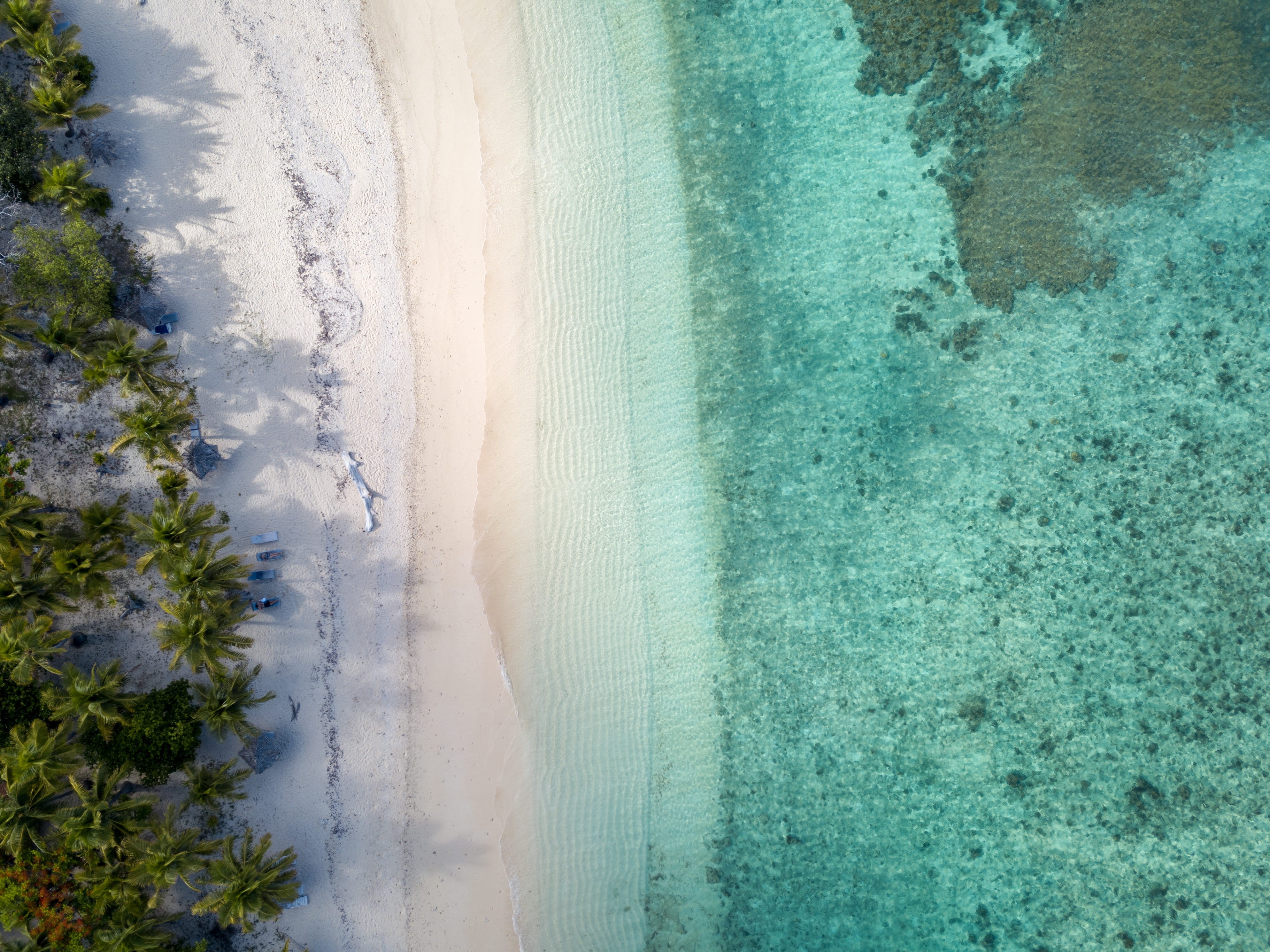 oceanshore, high angle view, drone shot, birds eye view, sky, top view, top, trees, seashore, oceanside, drone cam, palm trees, idyllic, water, HD Wallpaper