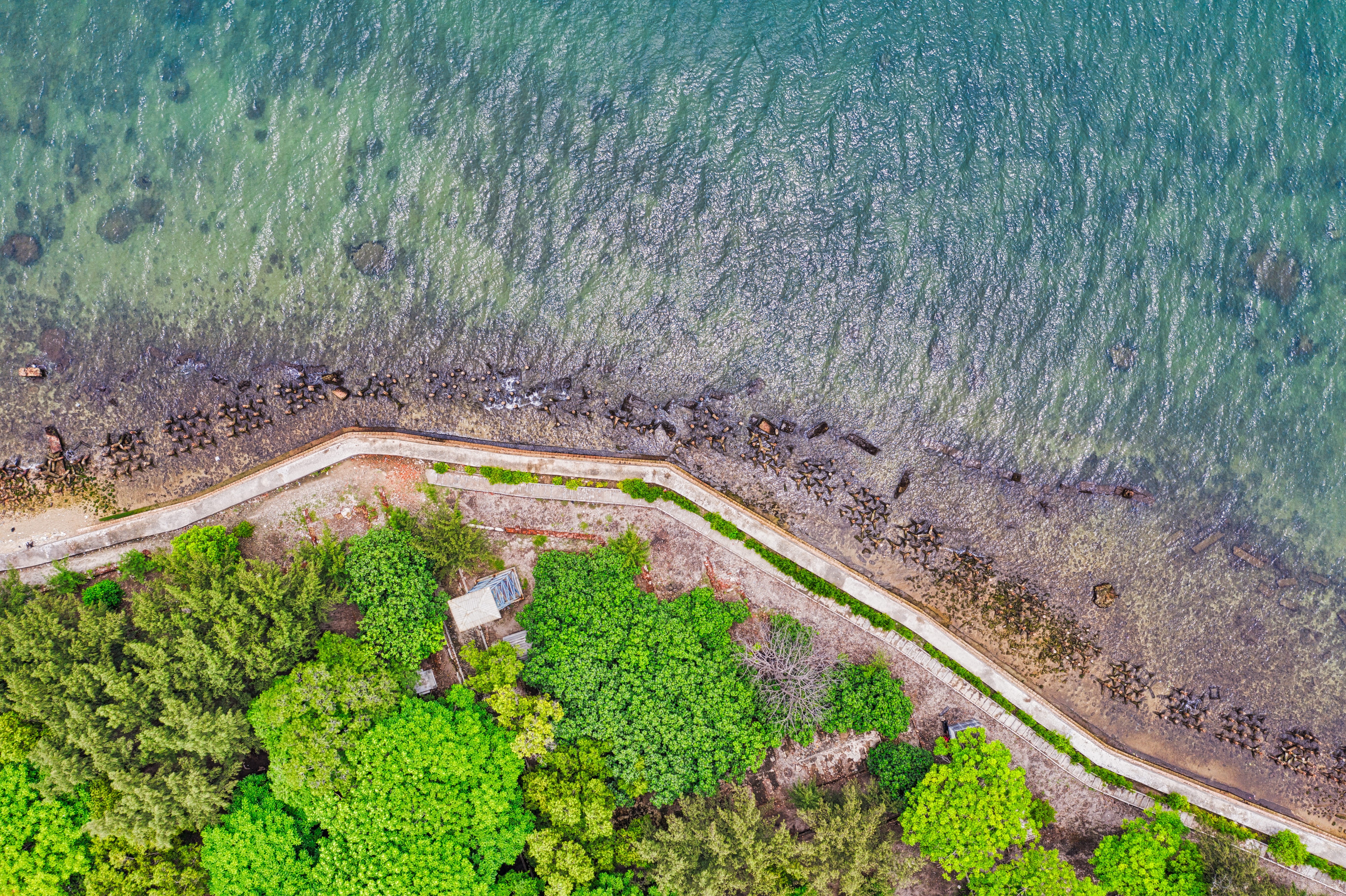 drone view, sea, coastal, beauty in nature, scenic, ripples, oceanside, landscape, seaside, 5K, tranquility, plant, land, top view, HD Wallpaper