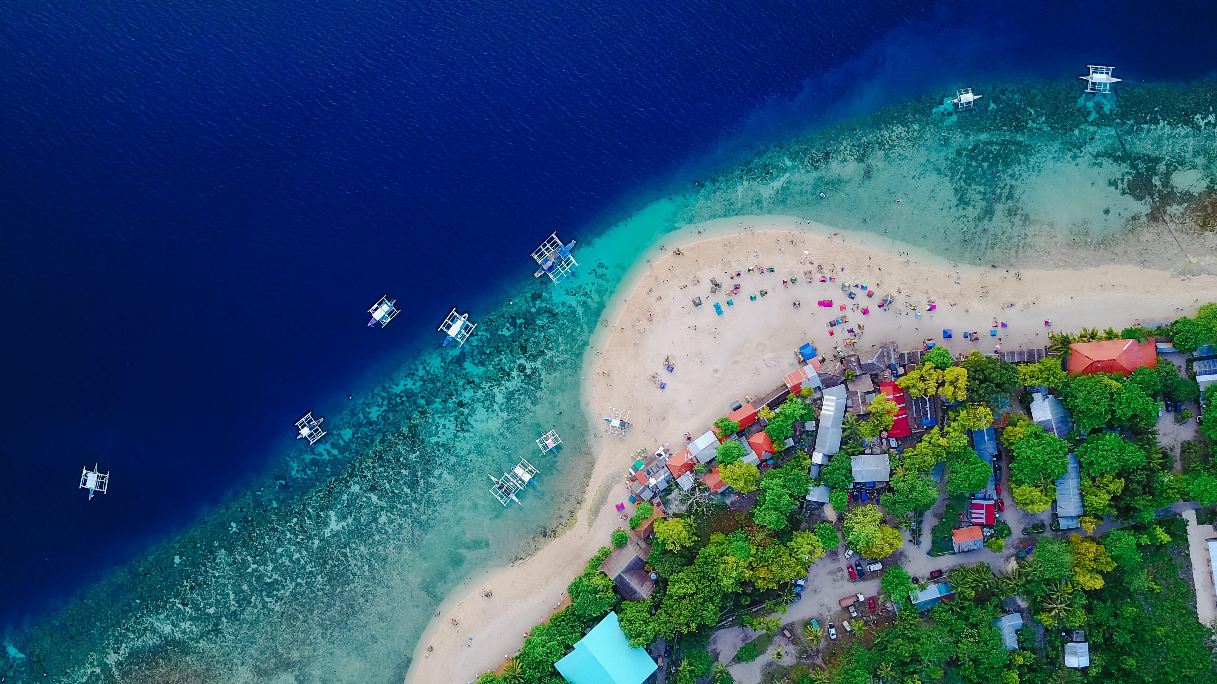 sea, flowering plant, oslob, view, seashore, coastal, beauty in nature, day, flower, clean, coast, daylight, water, Cebu, scenic, turquoise colored, eye, HD Wallpaper