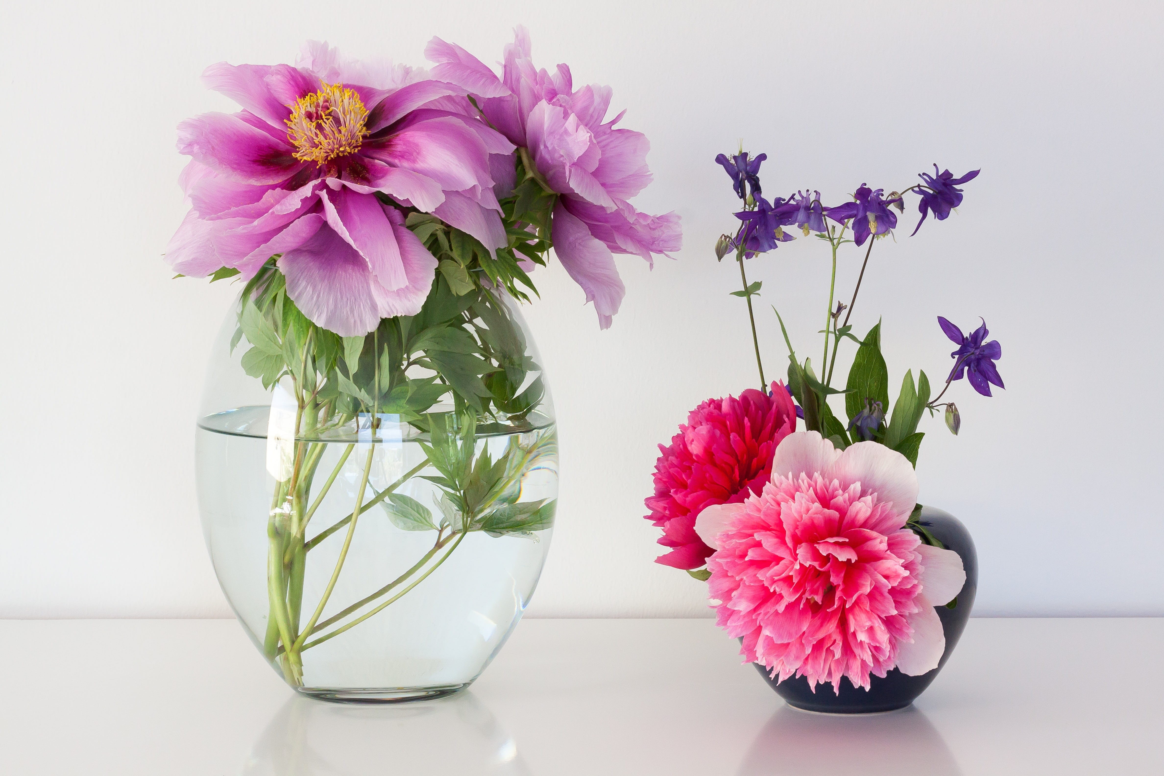 ornamental plant, lush, spring, studio shot, table, bouquet, peony, green, pentecost, vase, white, columbine, arrangement, close-up, nature, beauty in nature, HD Wallpaper