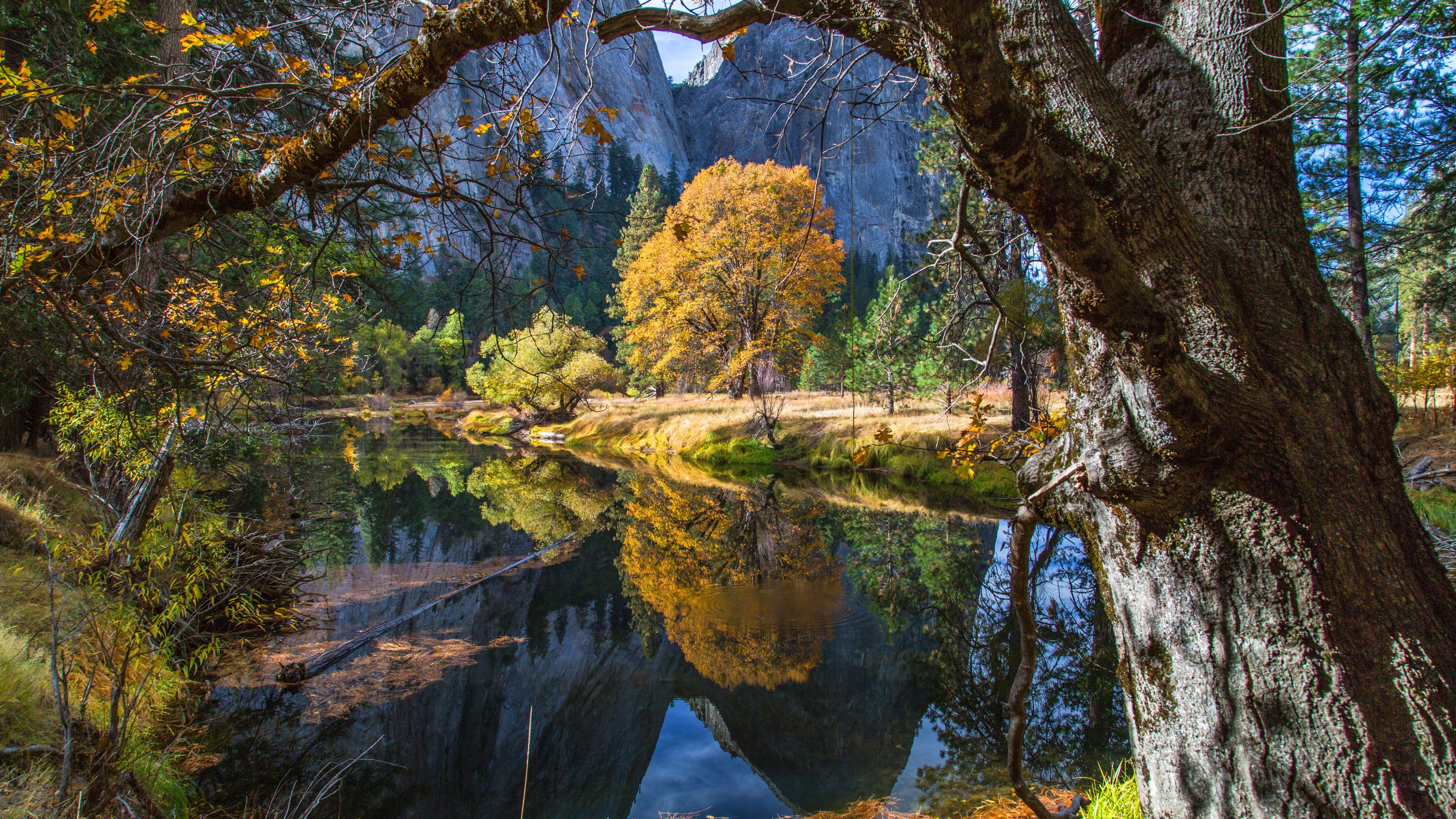 beauty in nature, day, yosemite valley, tranquility, land, scenics - nature, growth, plant, water, autumn landscape, california, tree, tranquil scene, autumn, HD Wallpaper