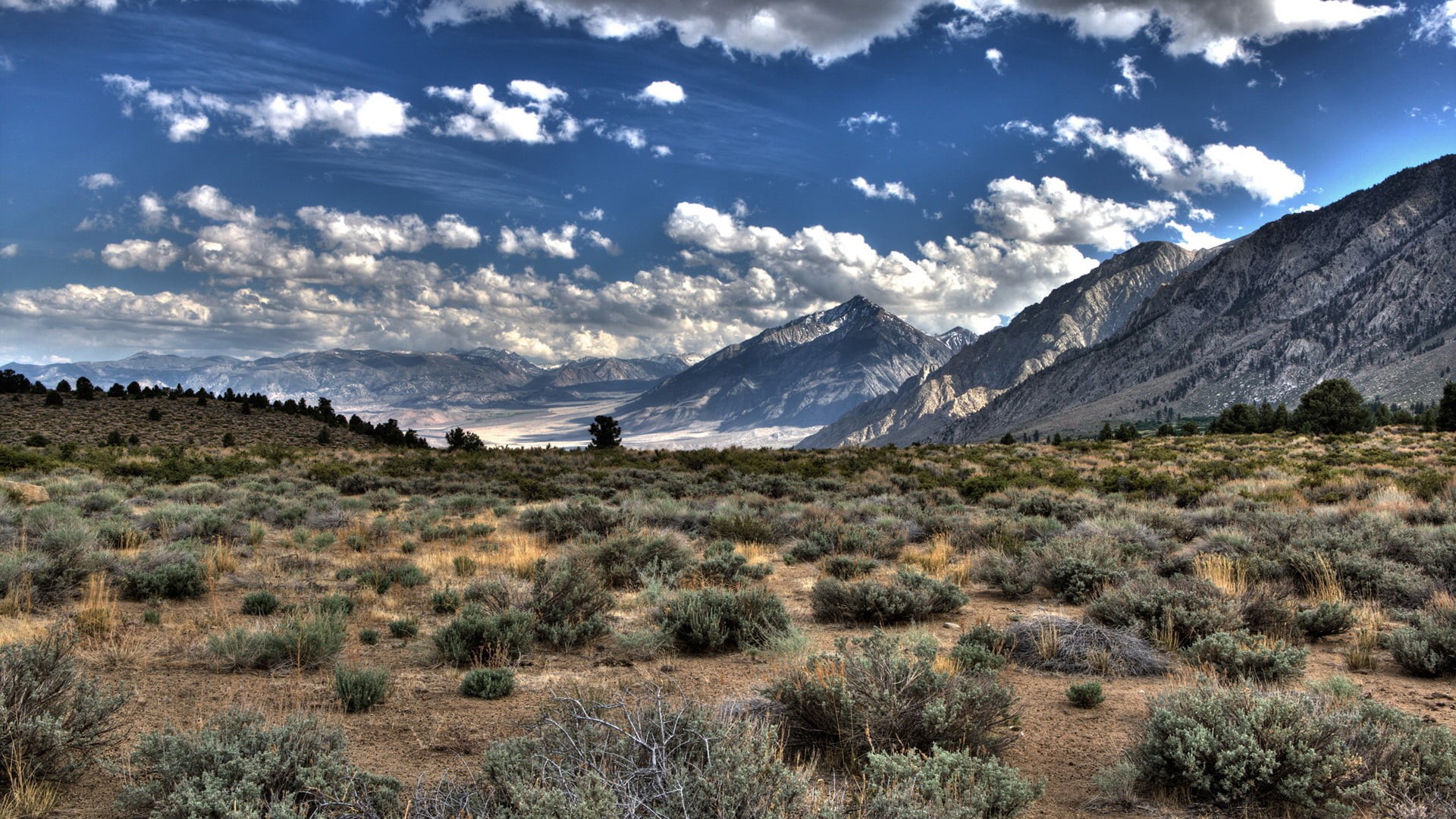 mountain Peak, HDR, field, tranquil scene, leisure activity, land, non-urban scene, desert, cloudscape, rock - Object, national Landmark, lot, grass, green, HD Wallpaper
