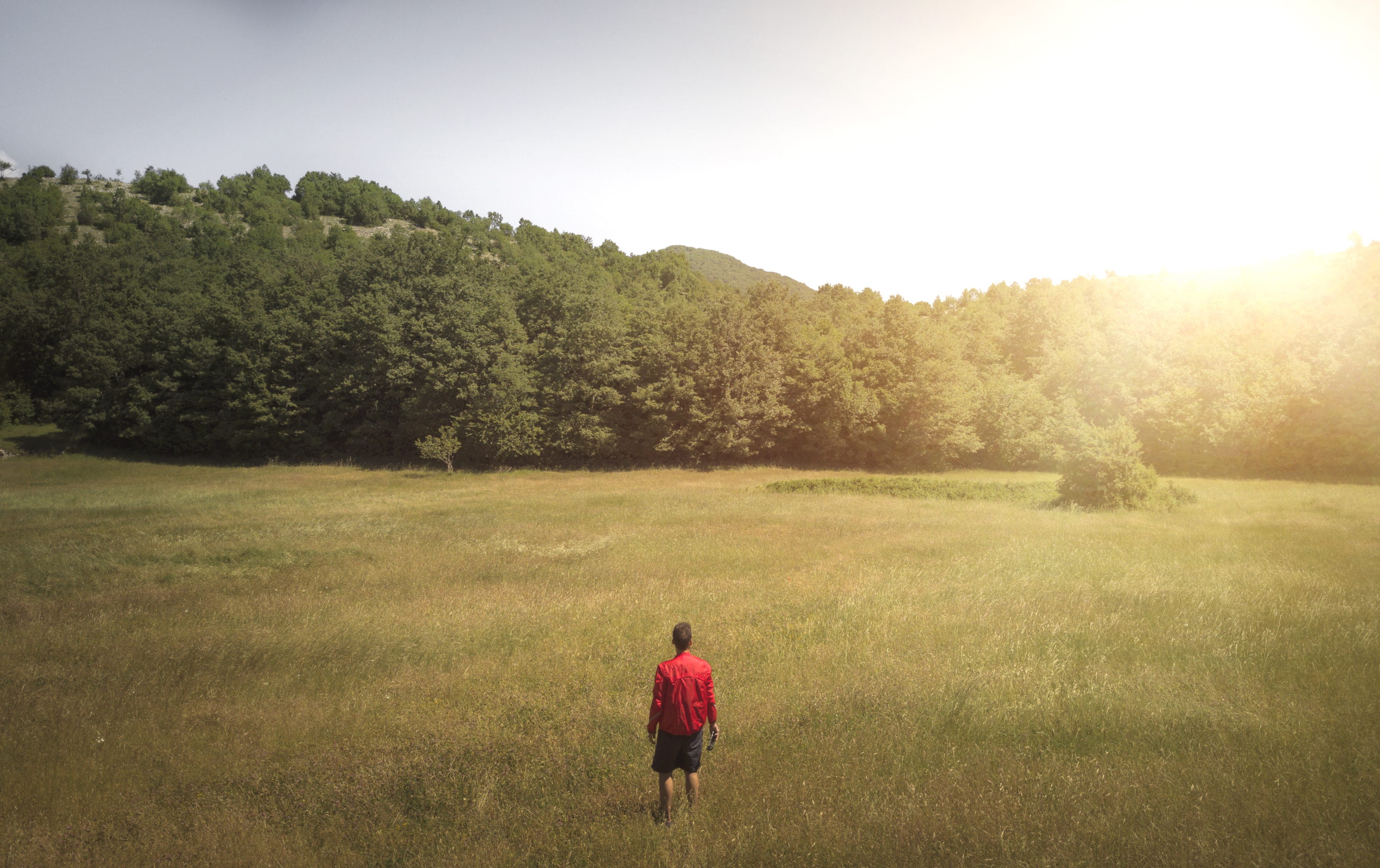 plant, adult, meadow, tranquility, beauty in nature, lifestyles, field, one Person, men, 2K, photo, non-Urban Scene, tree, man, people, grass, real people, HD Wallpaper