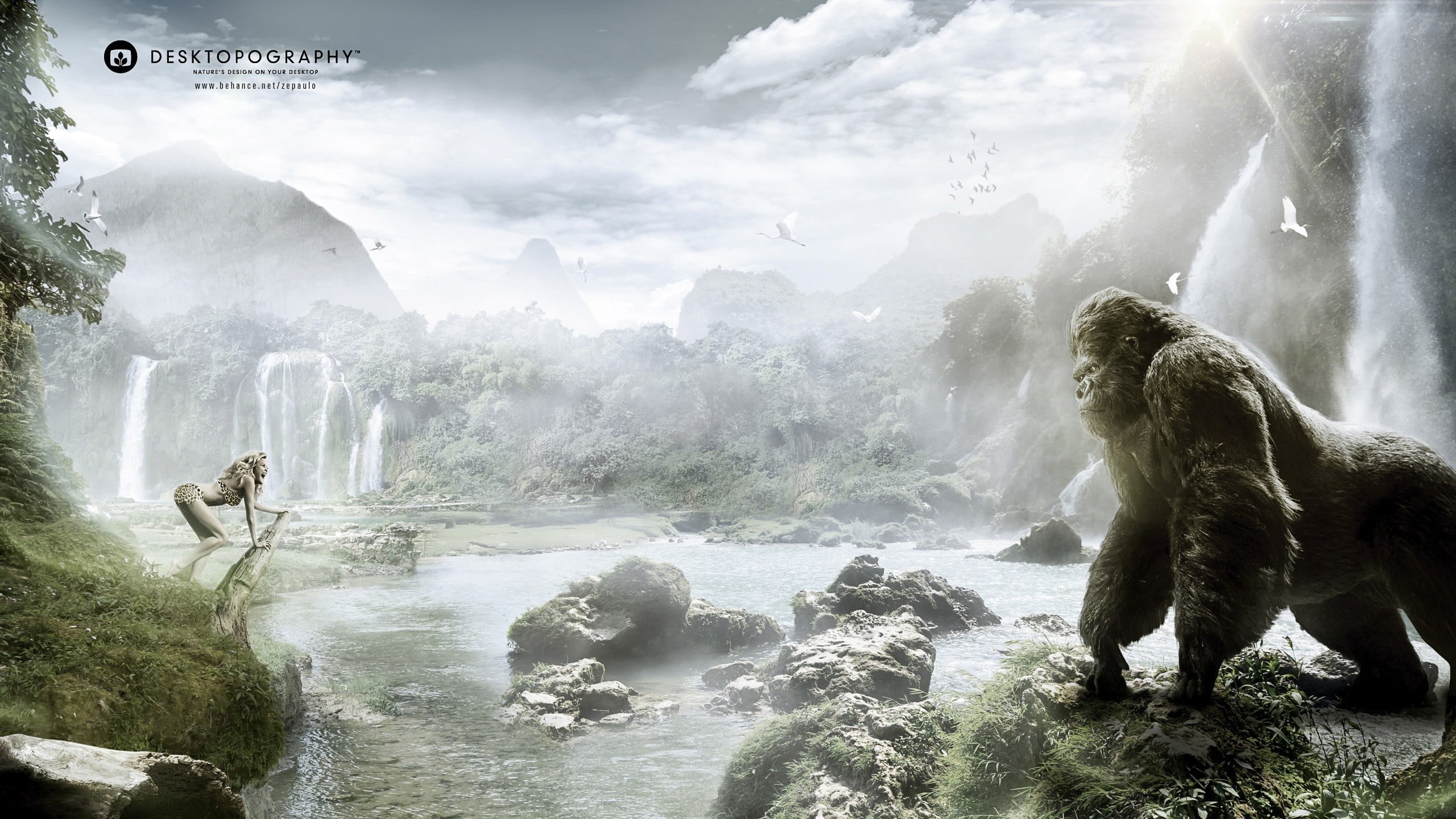 harambe, men, scenics - nature, non-urban scene, forest, travel, day, rock, hot Spring, mammal, adult, 2K, wet, animal, scenics, flowing, landscape, silver, HD Wallpaper