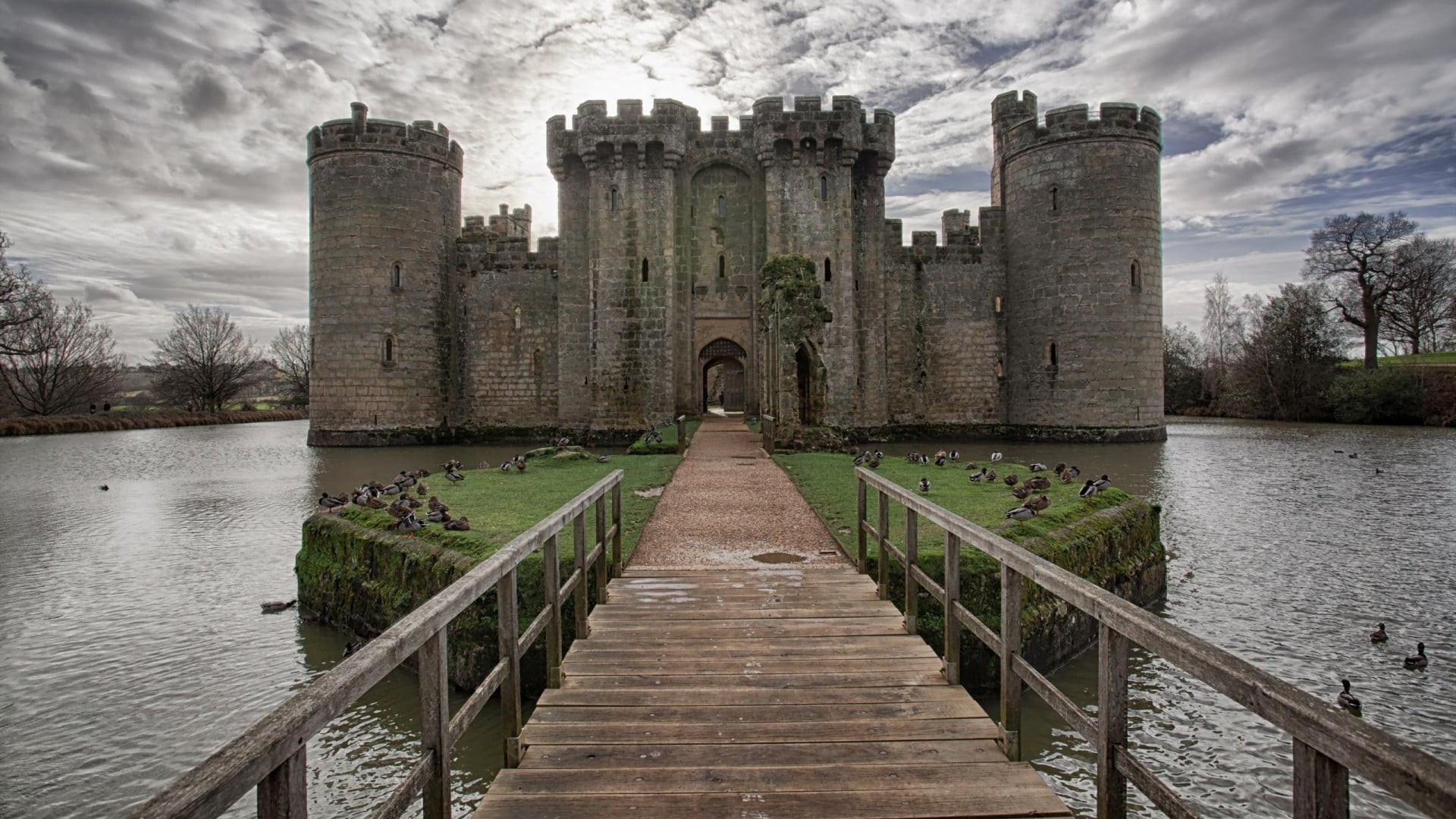 England, day, duck, tree, no people, gray, travel destinations, landscape, built structure, clouds, lake, cloud - sky, wooden surface, nature, tower, plant, HD Wallpaper