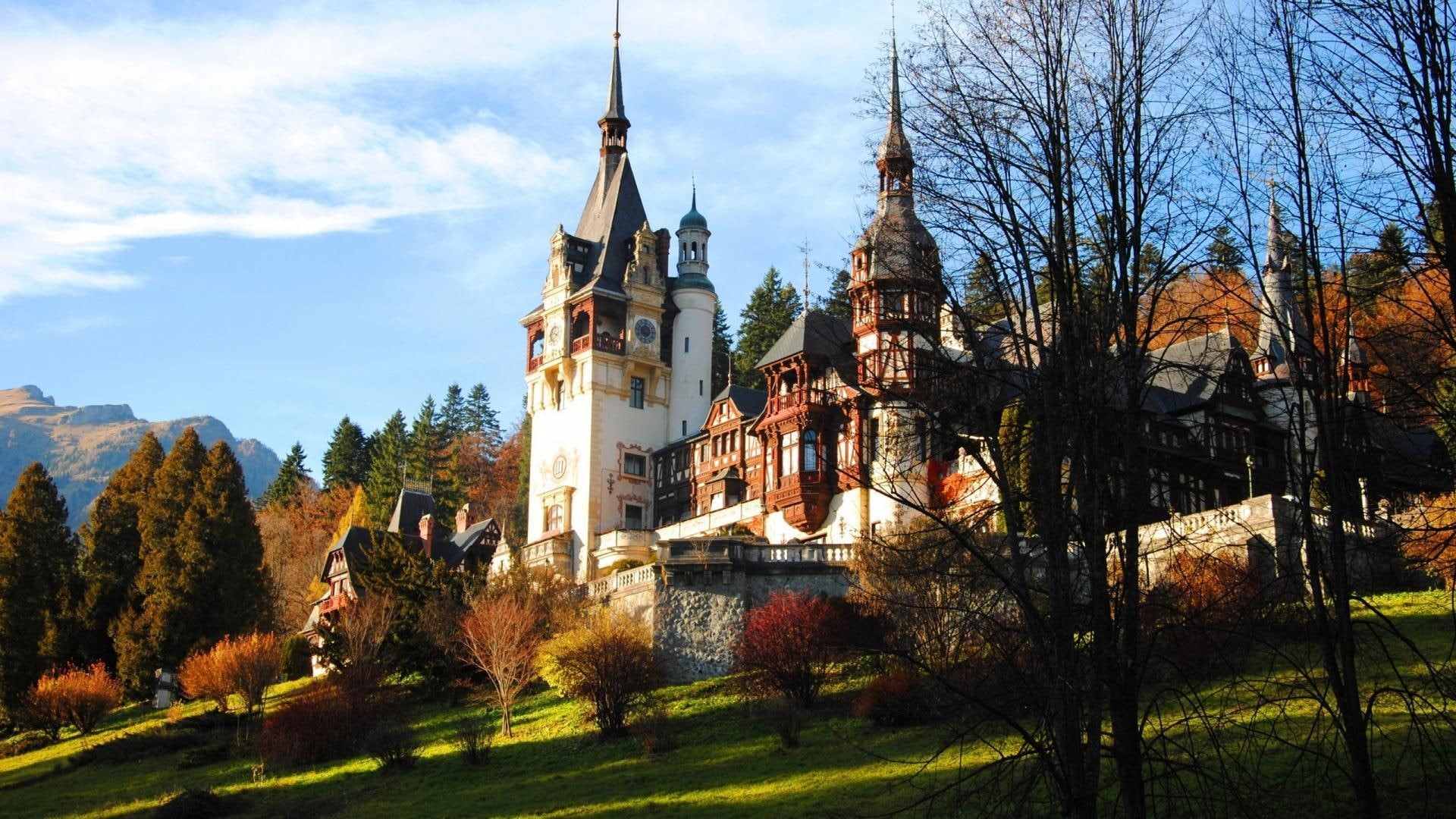 hill, castle, trees, white, nature and landscapes, romania, painting, grass, wondrous, brown, 1080P, wall, towers, peles, HD Wallpaper
