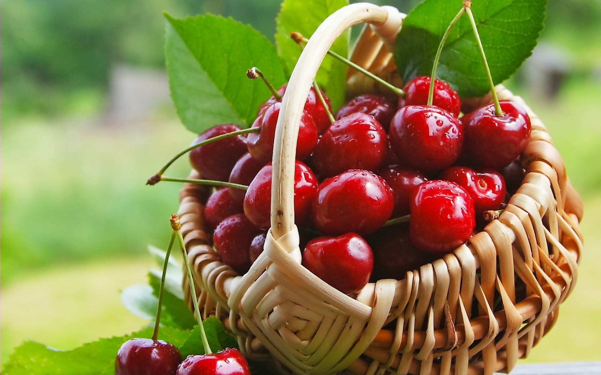 berry fruit, baskets, 1080P, cherries, wicker, no people, freshness, cherry, day, food and drink, food, nature, sweet food, focus on foreground, plant part, HD Wallpaper