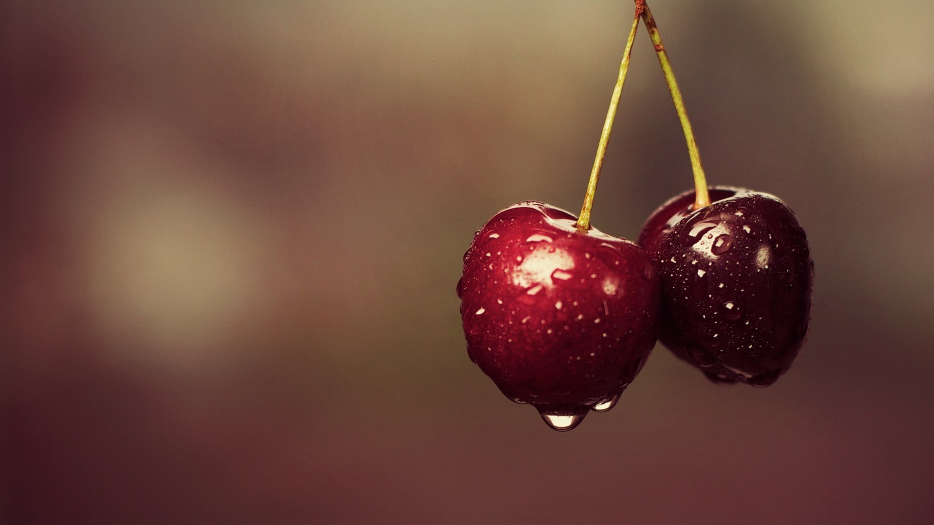 wellbeing, healthy eating, focus on foreground, ripe, dew, food, 1080P, macro, wet, plant stem, water, hanging, berry fruit, close-up, food and drink, HD Wallpaper