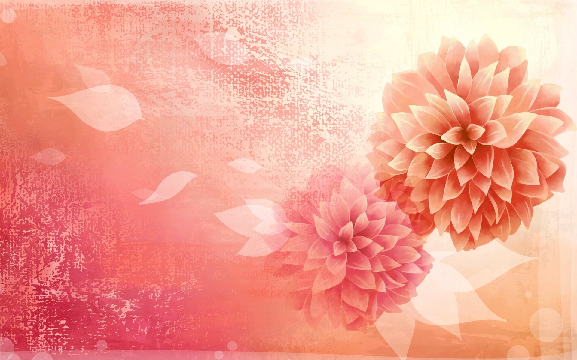 1080P, Picture, Pink, Vector, Bud, Flower, Petals, HD Wallpaper