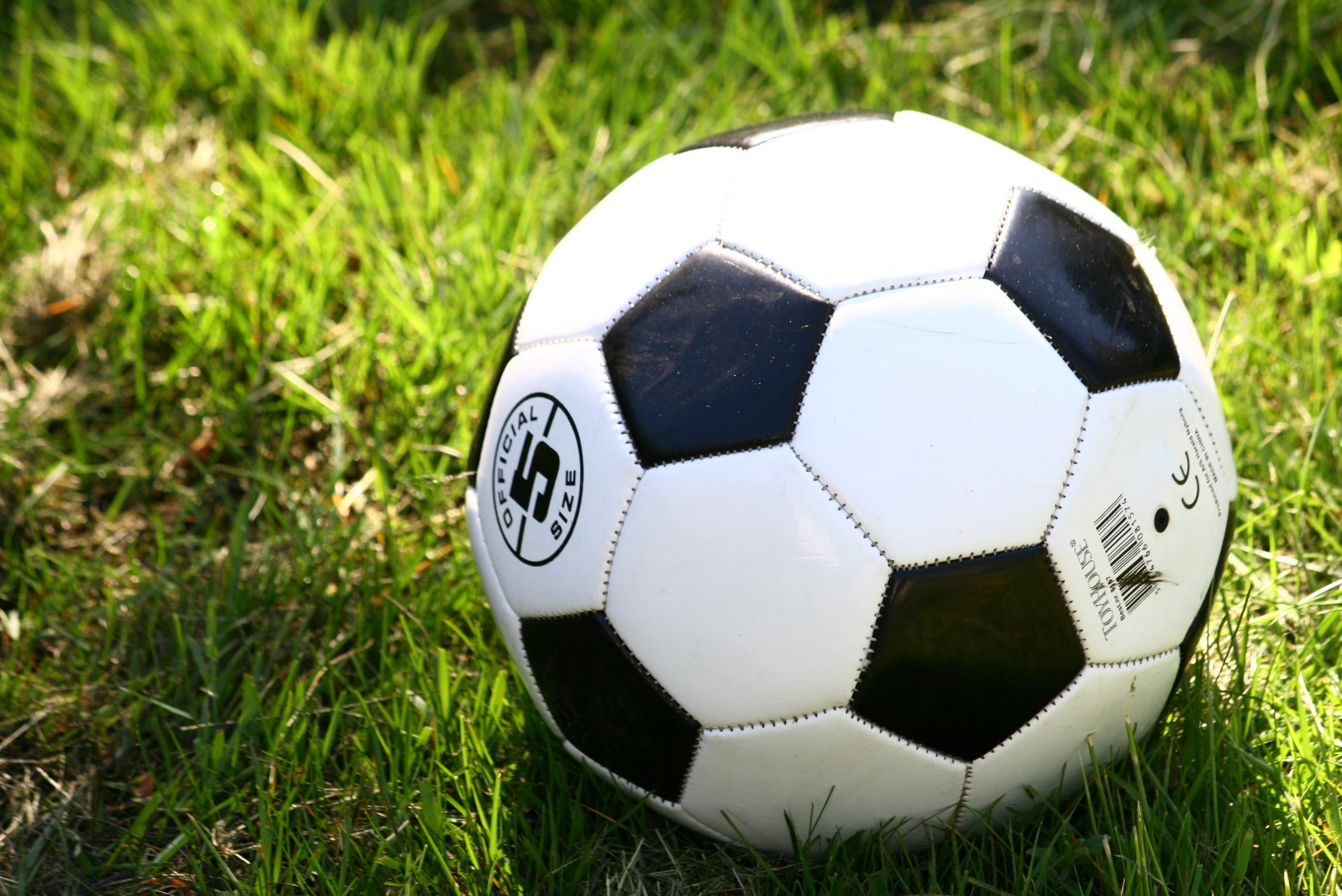 outdoors, football games, soccer ball, team sport, field, playing, close-up, ball, soccer field, green color, Play, focus on foreground, land, black color, HD Wallpaper