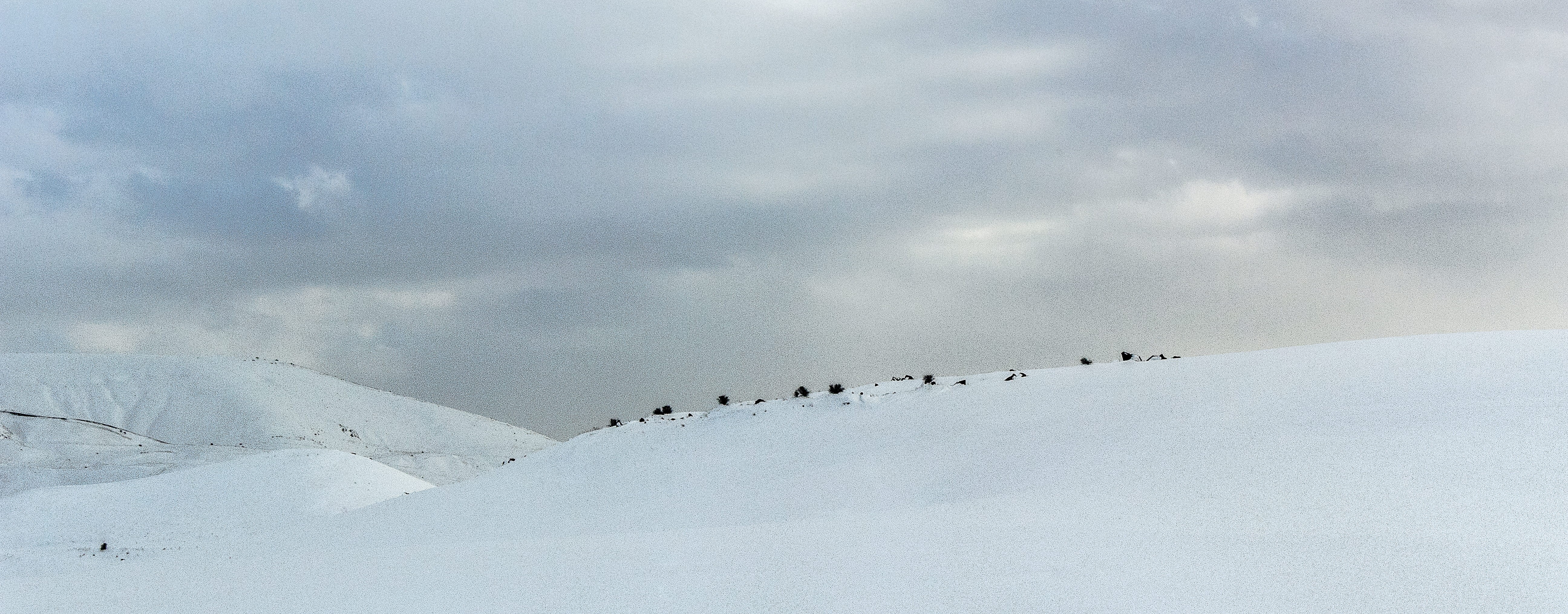 snowcapped mountain, scenics - nature, cold, animals in the wild, large group of animals, no people, bird, animal wildlife, group of animals, horizon, snow, HD Wallpaper