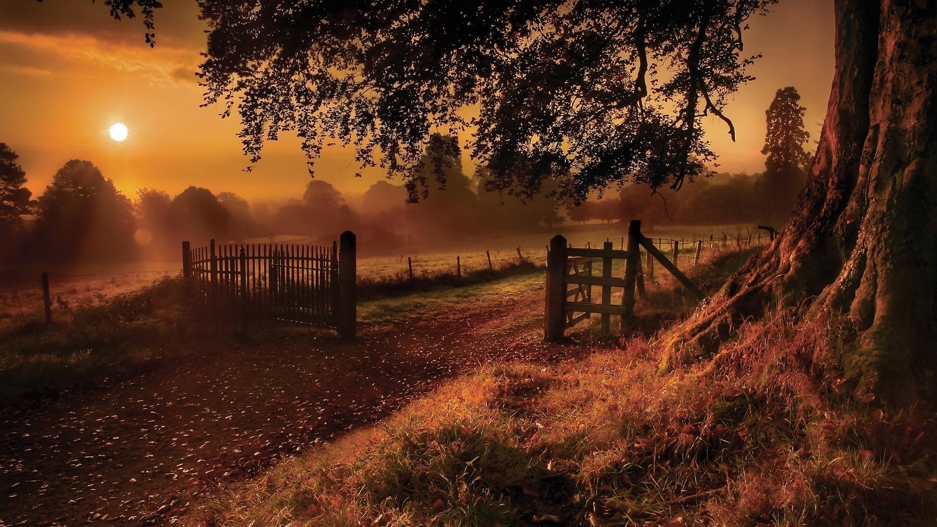 grass, tree, landscape, 1080P, mist, ranch, fence, dusk, nature, road, evening, farm, sky, sunset, dirt road, romantic, sunlight, autumn, HD Wallpaper