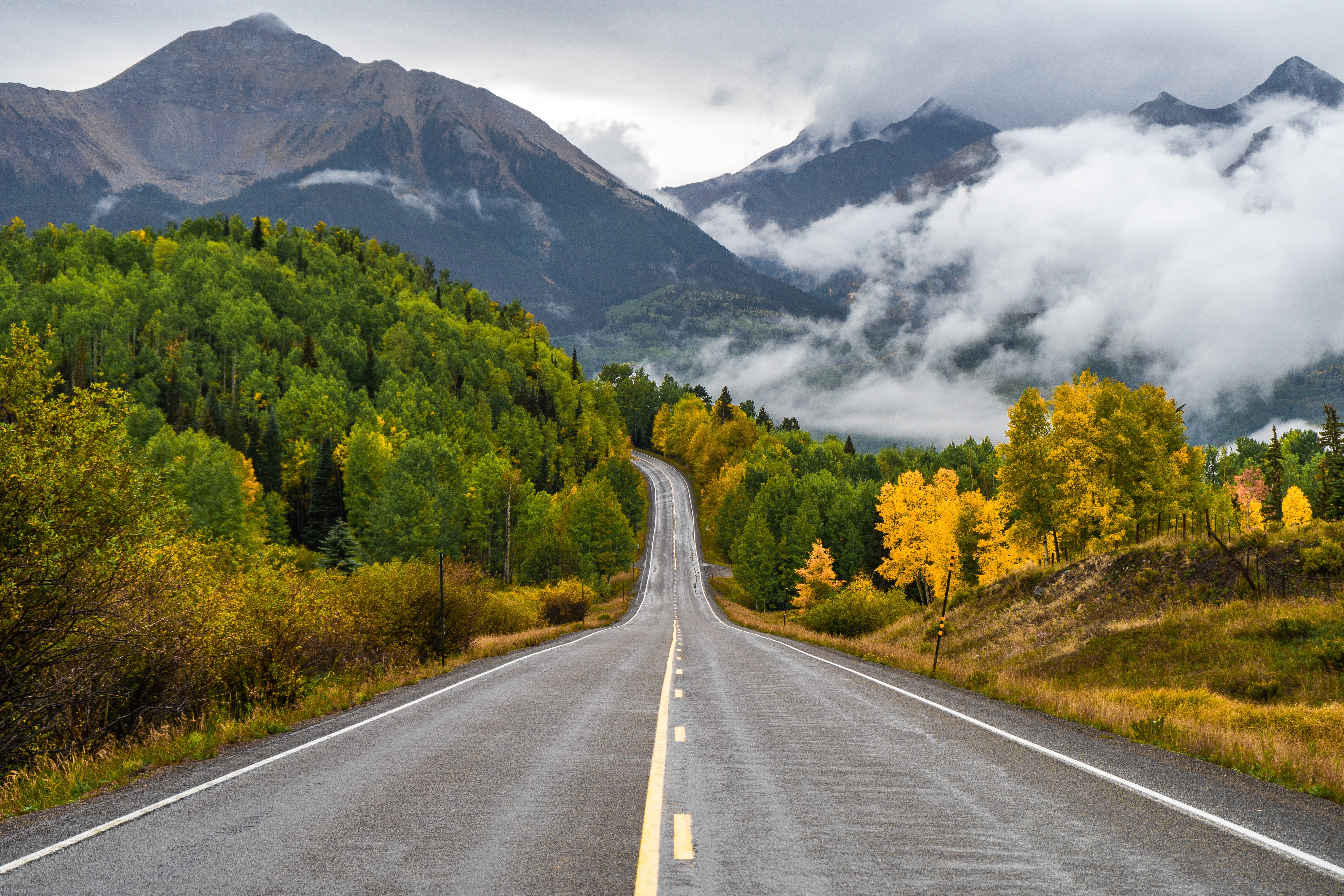 fir, plant, intersection, road, diminishing perspective, sign, the way forward, beauty in nature, leading, transportation, telluride, no people, scenery, HD Wallpaper