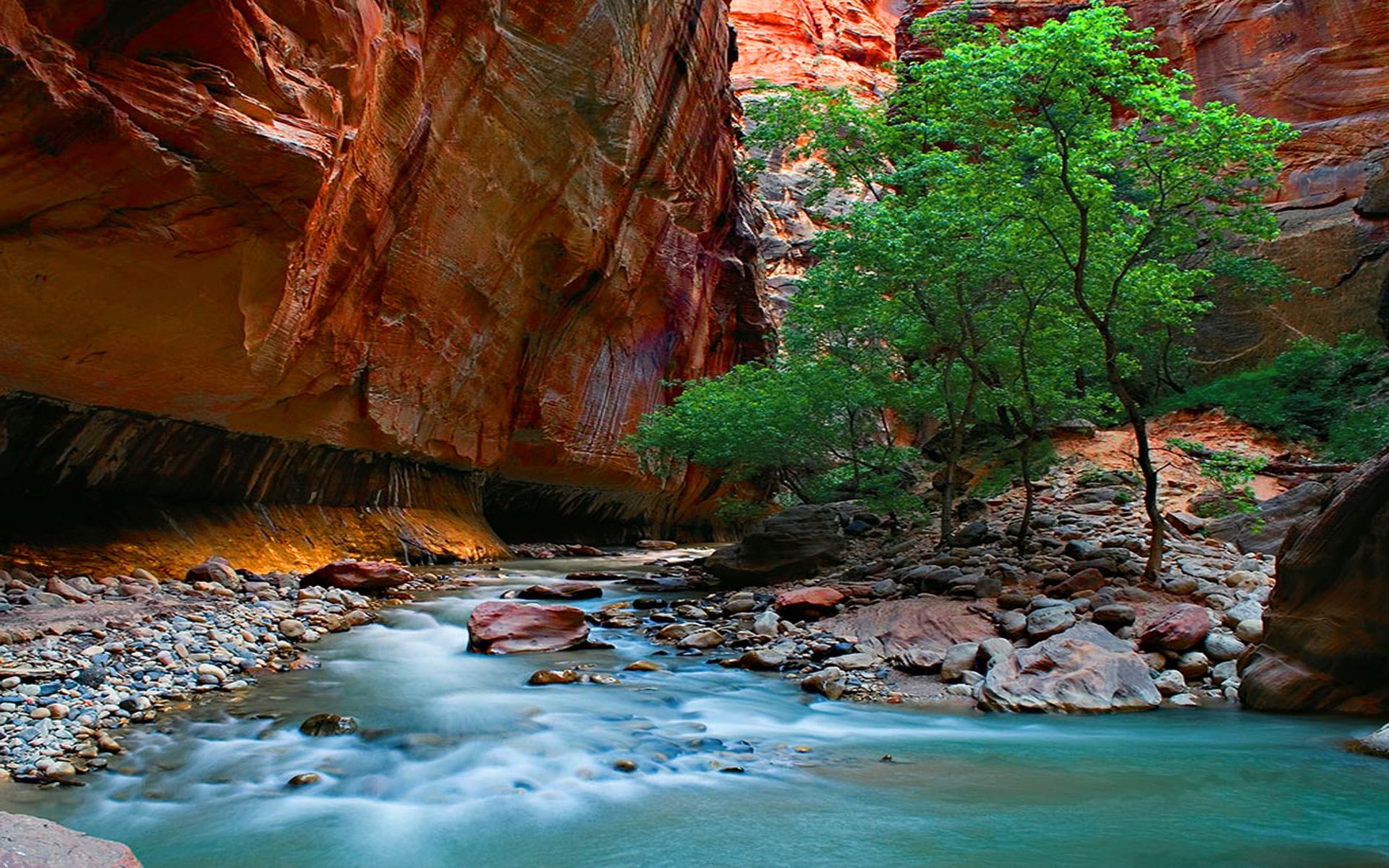 park, stones, river, 1080P, rocks, canyon, narrows, full, zion, national, hd, HD Wallpaper