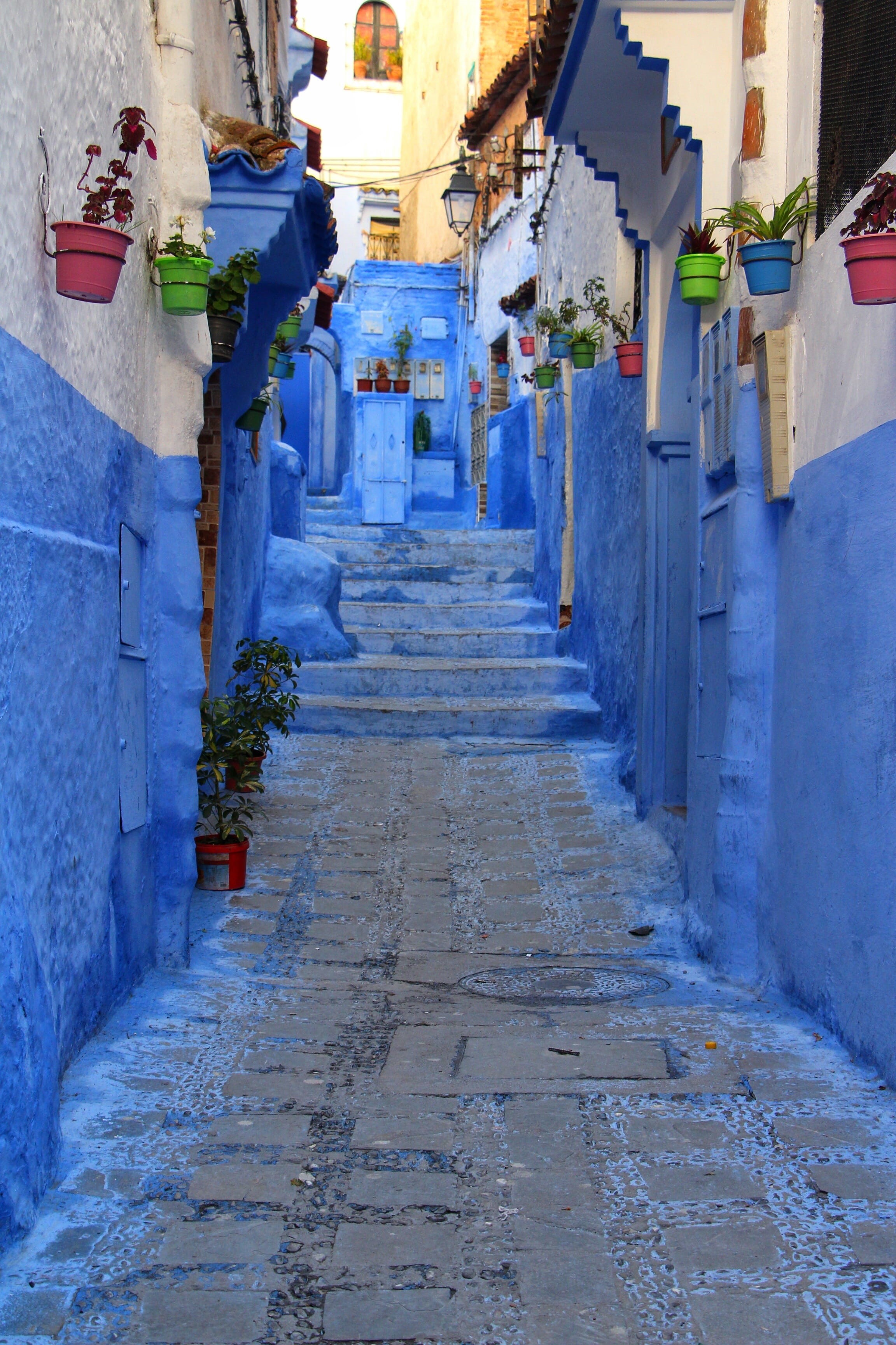 in a row, house, narrow, Morocco, potted plant, building exterior, built structure, outdoors, stone, Blue City, arch, pots, architecture, city, diminishing perspective, Phone HD Wallpaper
