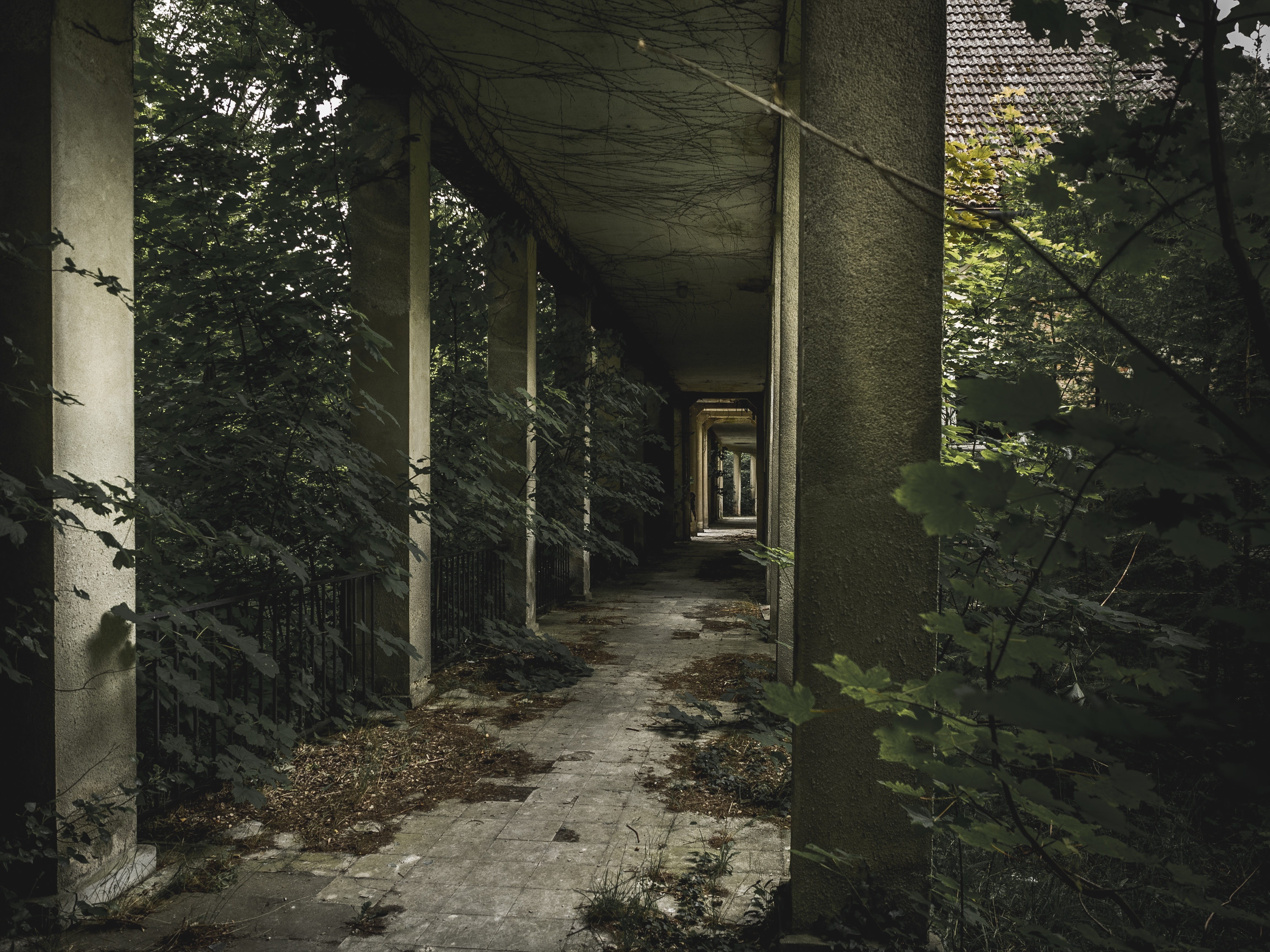 lost place, footpath, ailing, concrete, pavement, forest, old, structure, view, building, hallway, long, architecture And Buildings, abandoned, no People, HD Wallpaper