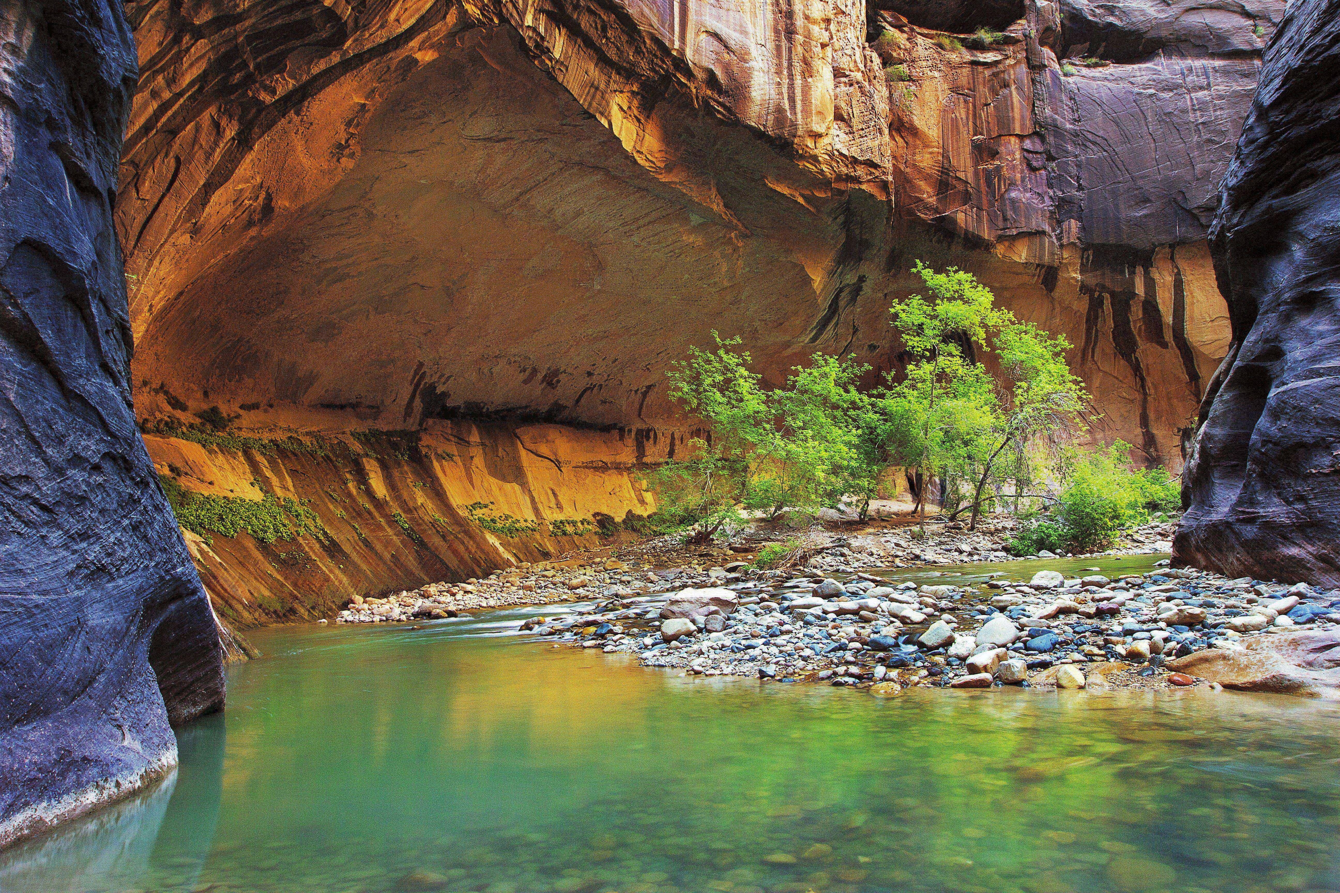 trees, landscape, rock, river, 5K, zion, narrows, HD Wallpaper