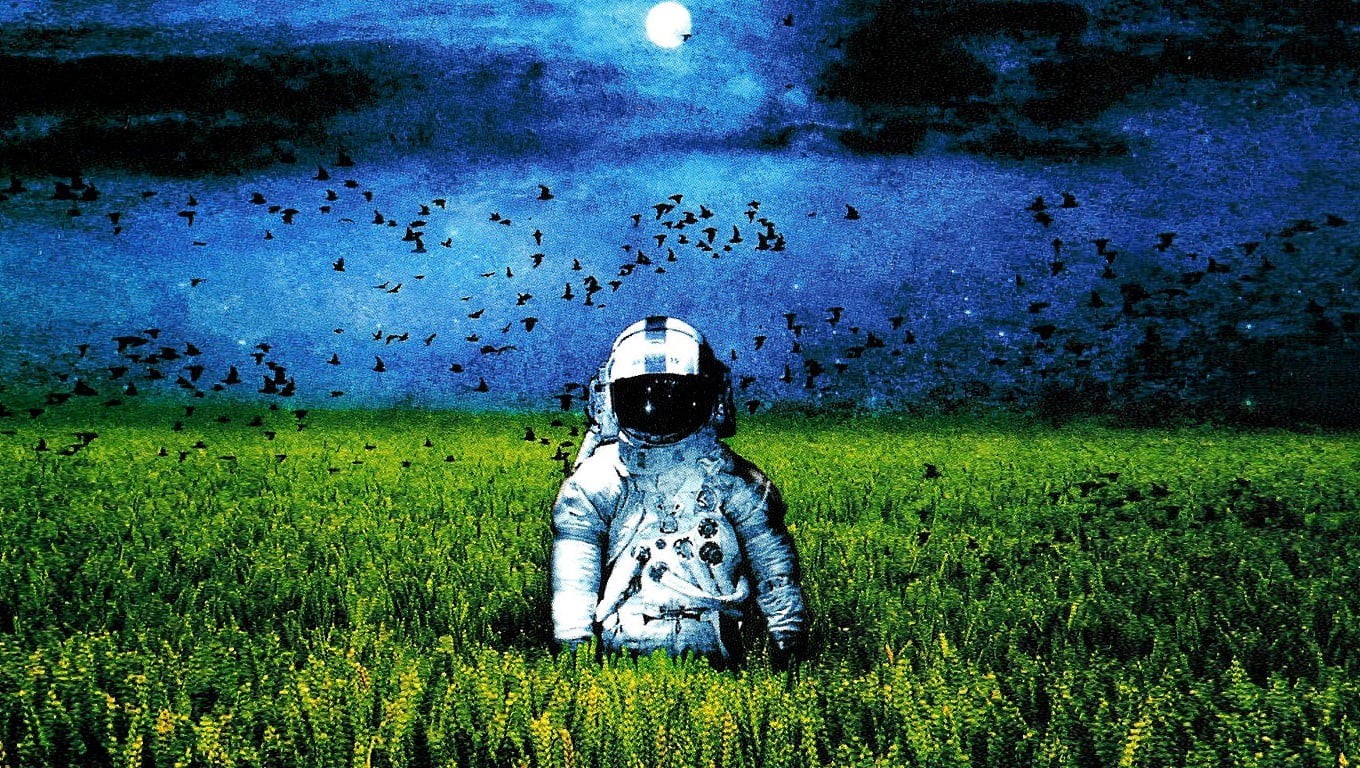 growth, helmet, outdoors, day, album covers, astronaut, childhood, headwear, real people, landscape, rear view, field, child, nature, land, artwork, leisure activity, HD Wallpaper