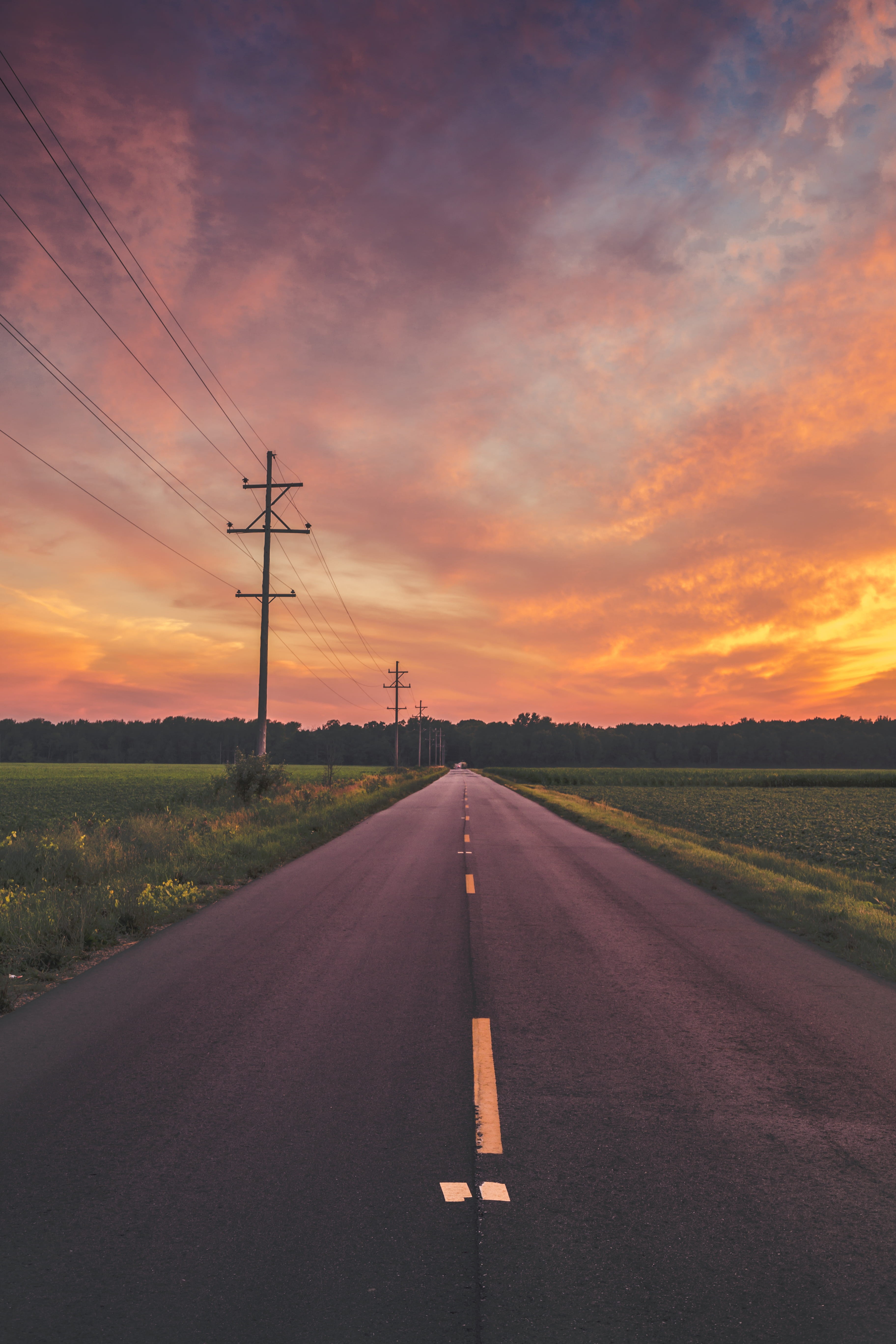 dividing line, telephone line, sunset, evening, asphalt, guidance, power line, sign, trees, vanishing point, landscape, sky, rural, no people, diminishing perspective, Phone HD Wallpaper