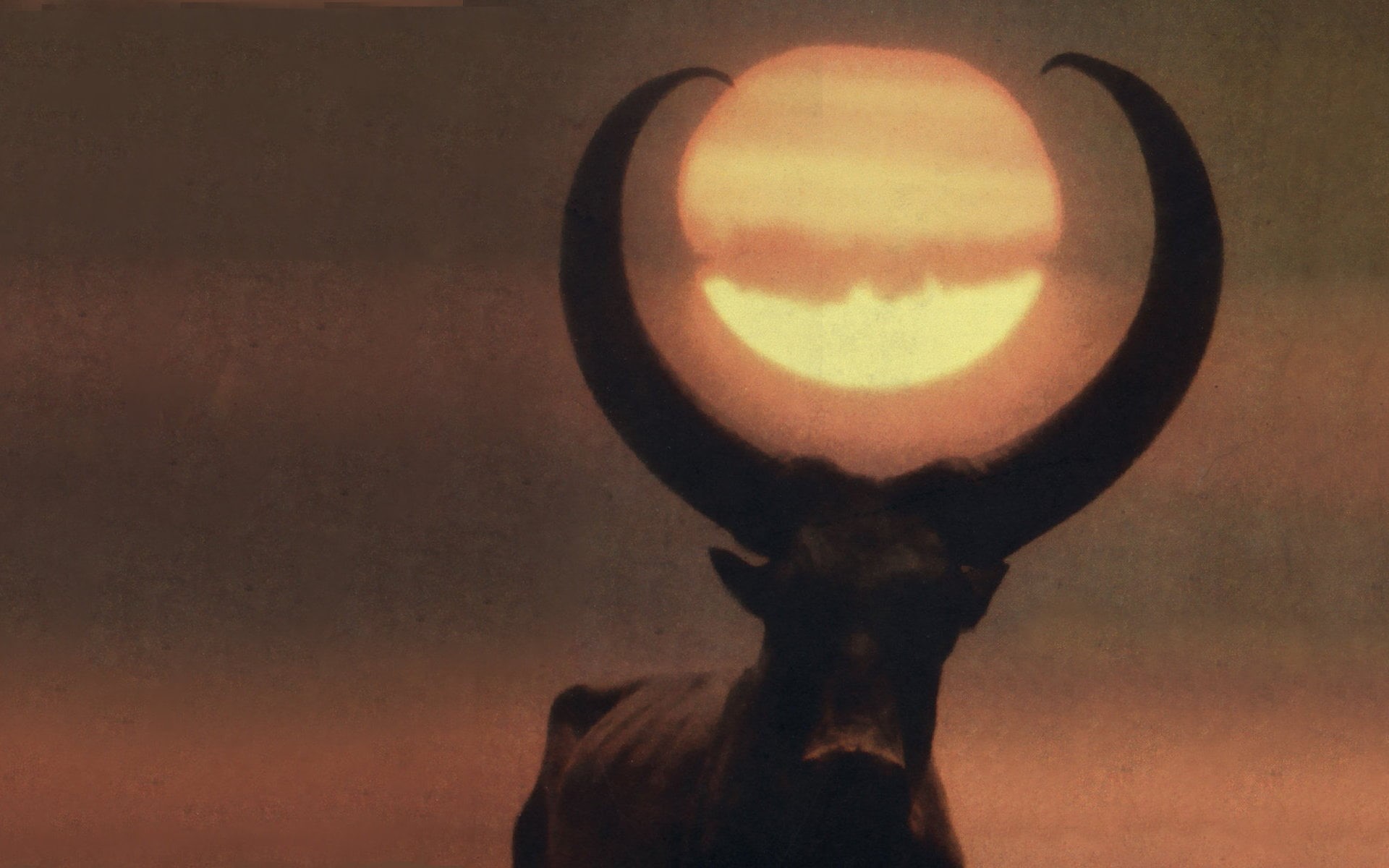 album covers, photo, 1080P, close-up, black, silhouette, noise, Sun, fantasy art, outdoors, goat, one person, nature, ibex, closeup, body part, brown, HD Wallpaper