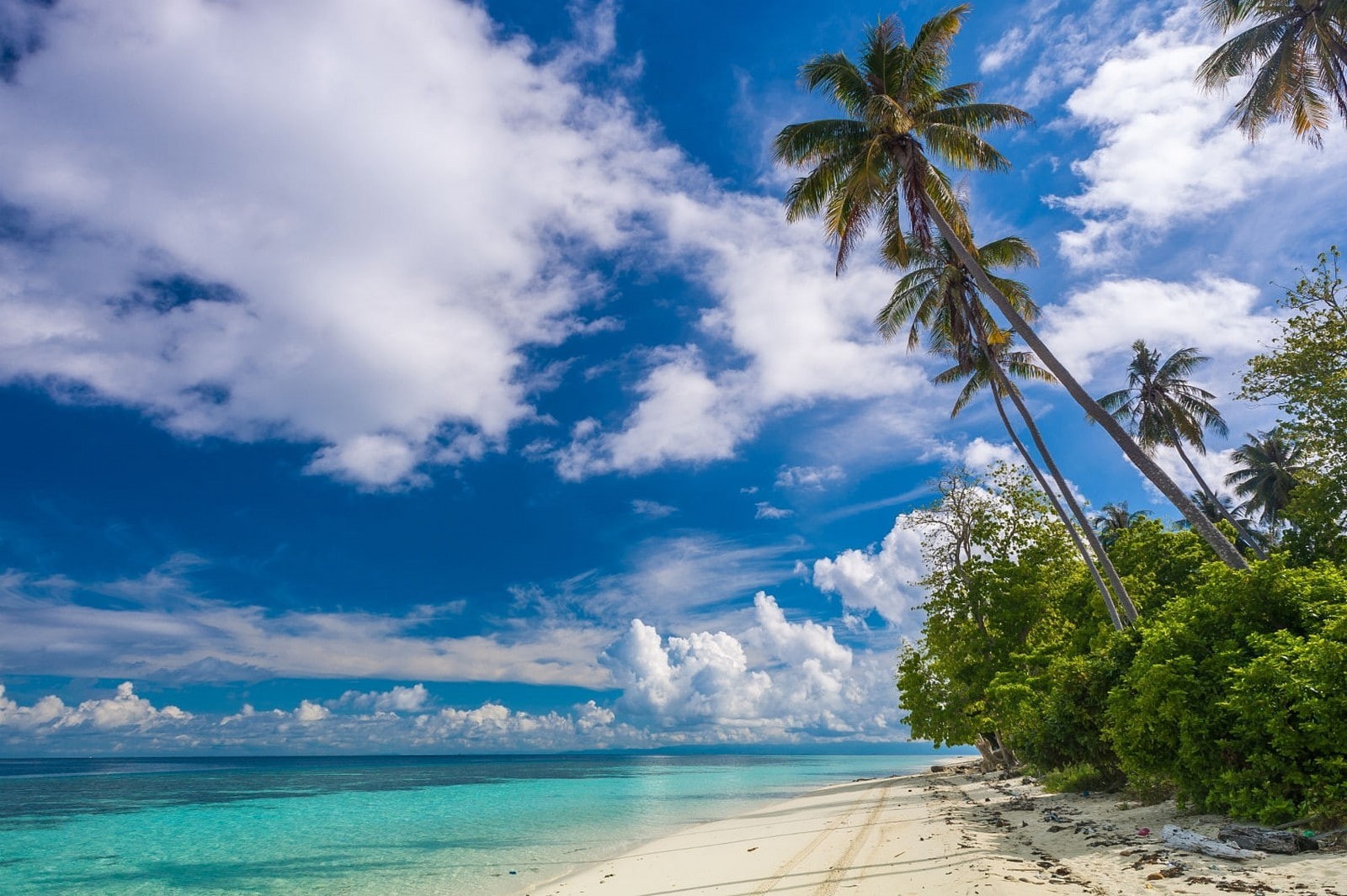 landscape, sand, blue, tranquil scene, day, scenics - nature, no people, land, coconut palm tree, tropical, tree, nature, growth, Malaysia, palm trees, HD Wallpaper