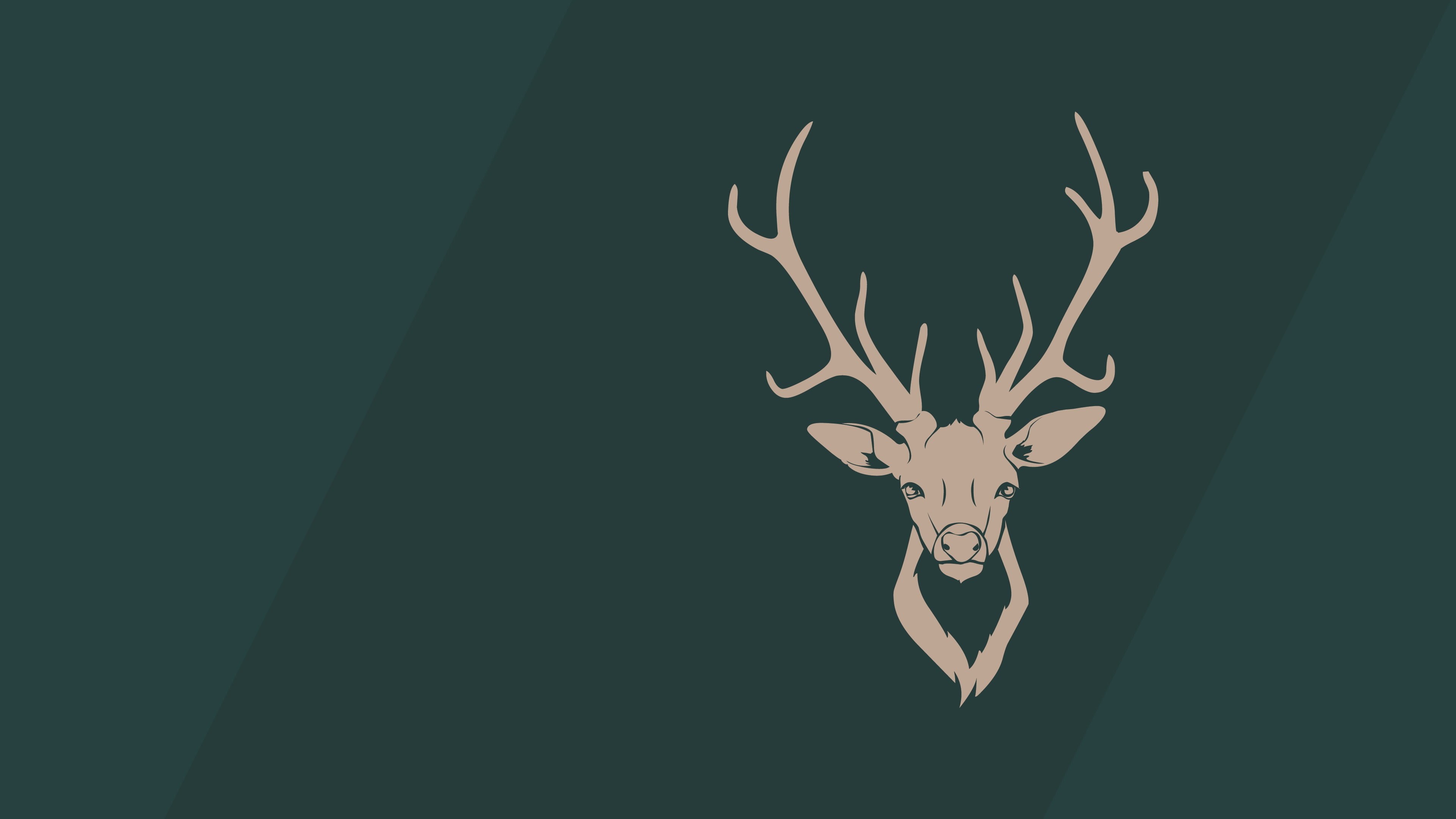 animal, antlers, deer, horned, animal skull, bone, no people, animal themes, animal wildlife, representation, minimalism, illustration, one animal, animal body part, HD Wallpaper