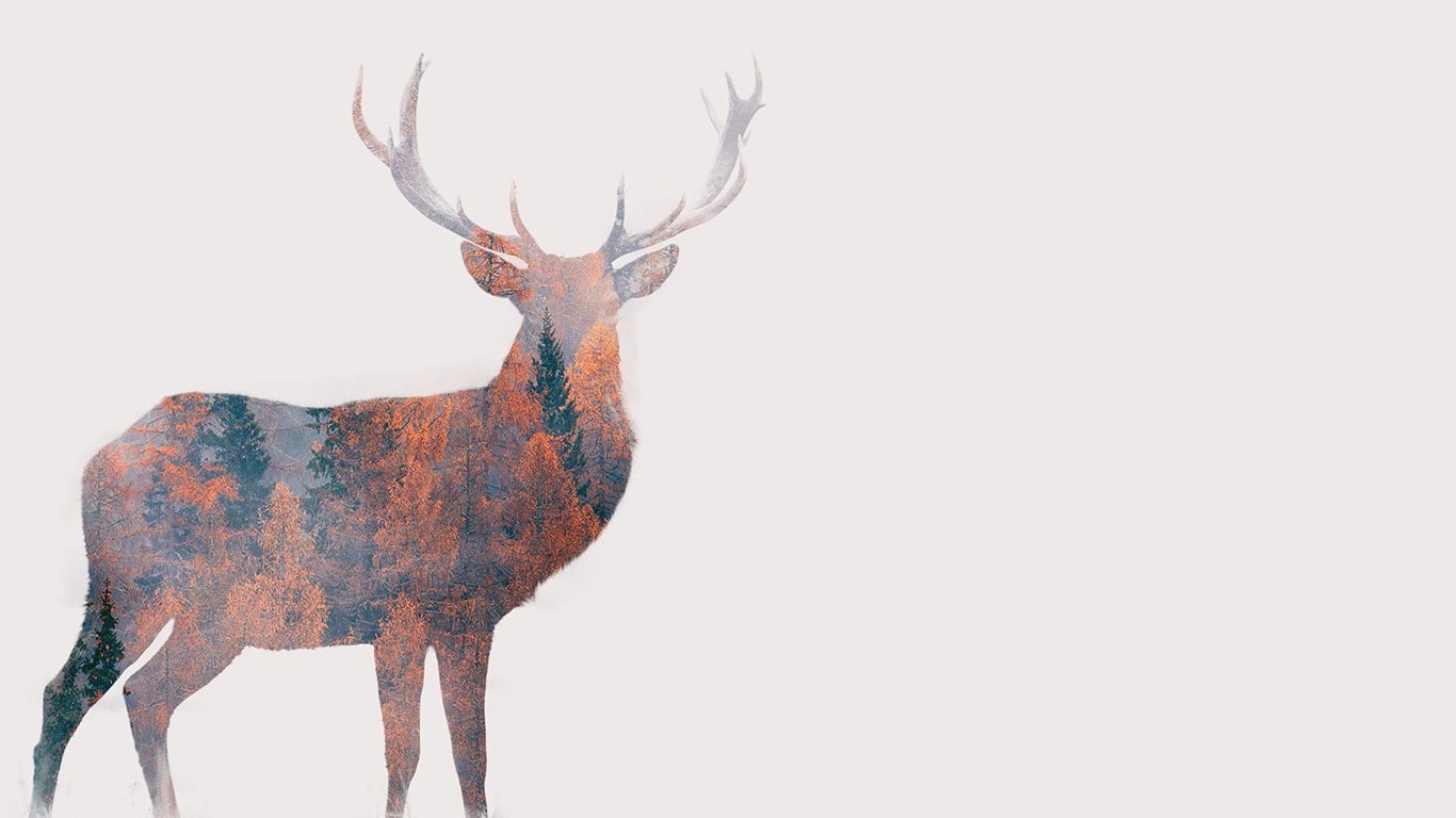 forest, animals, double exposure, digital art, simple background, antlers, deer, 720P, white background, trees, fall, nature, HD Wallpaper