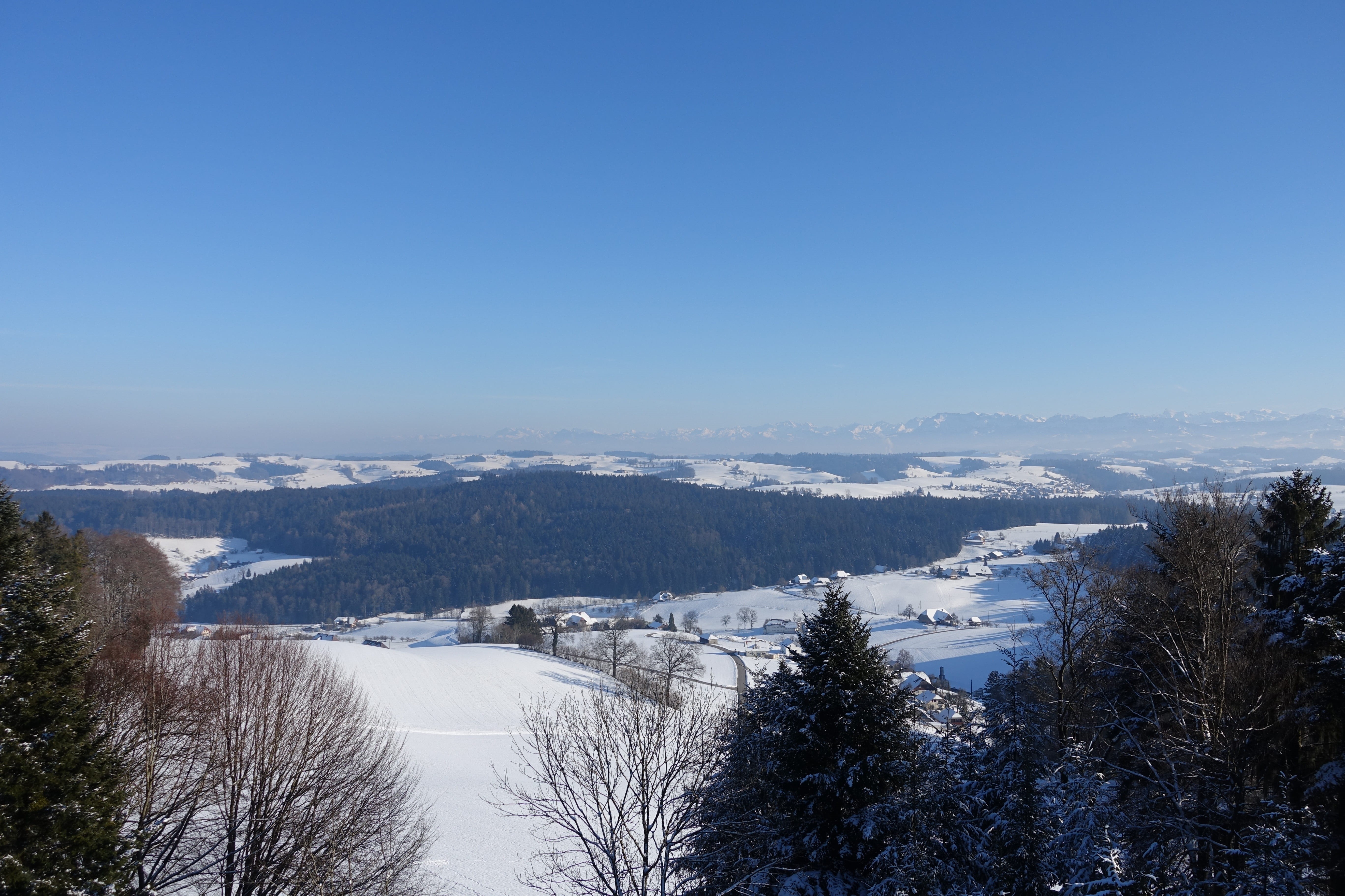 tree, 5K, ghürn, swiss mountains, hohwacht, day, beauty in nature, vision, outdoors, view, observation tower, sky, tranquility, non-urban scene, snowcapped mountain, HD Wallpaper
