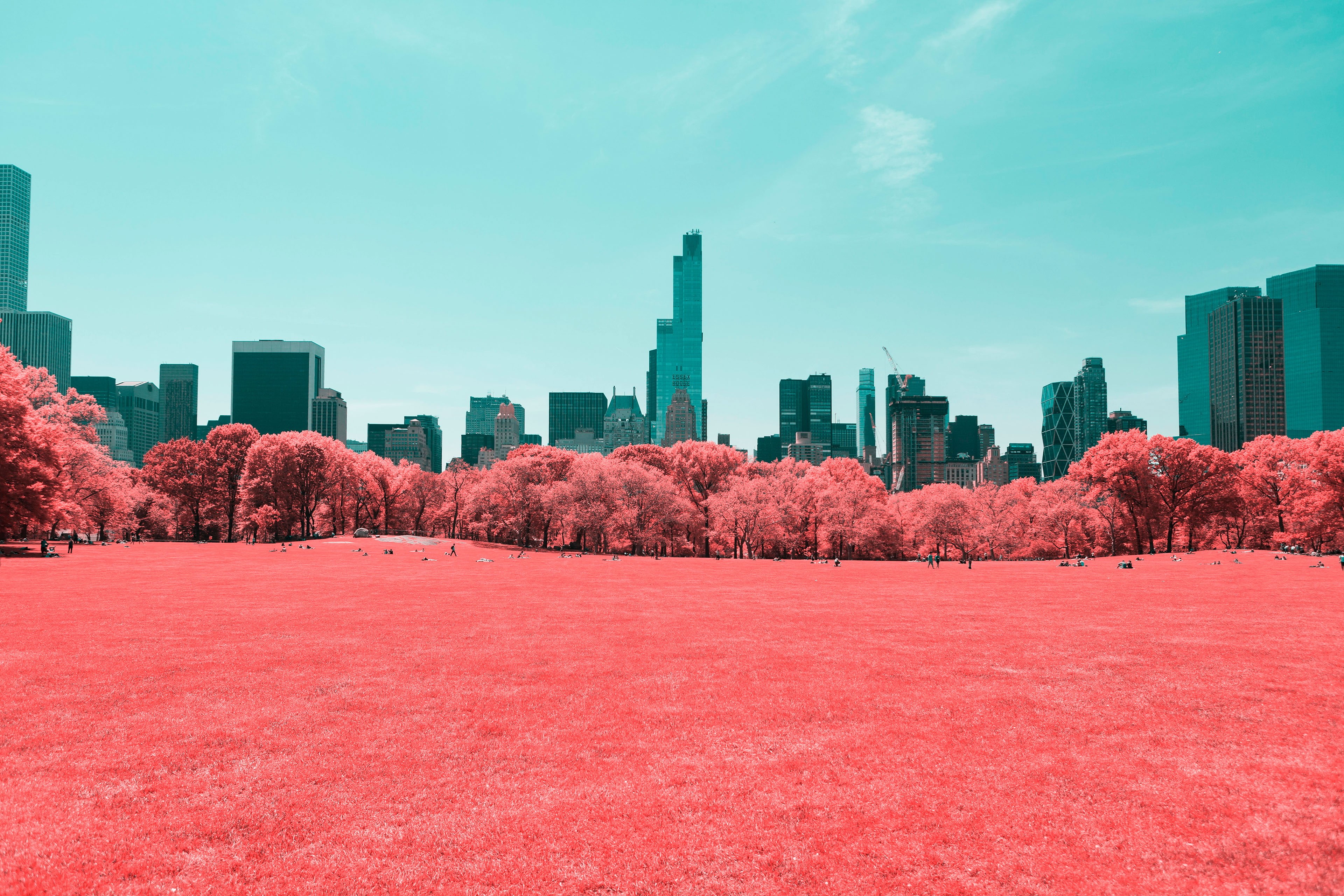 4K, 4K, Infrared, Manhattan, New York City, Central Park, HD Wallpaper
