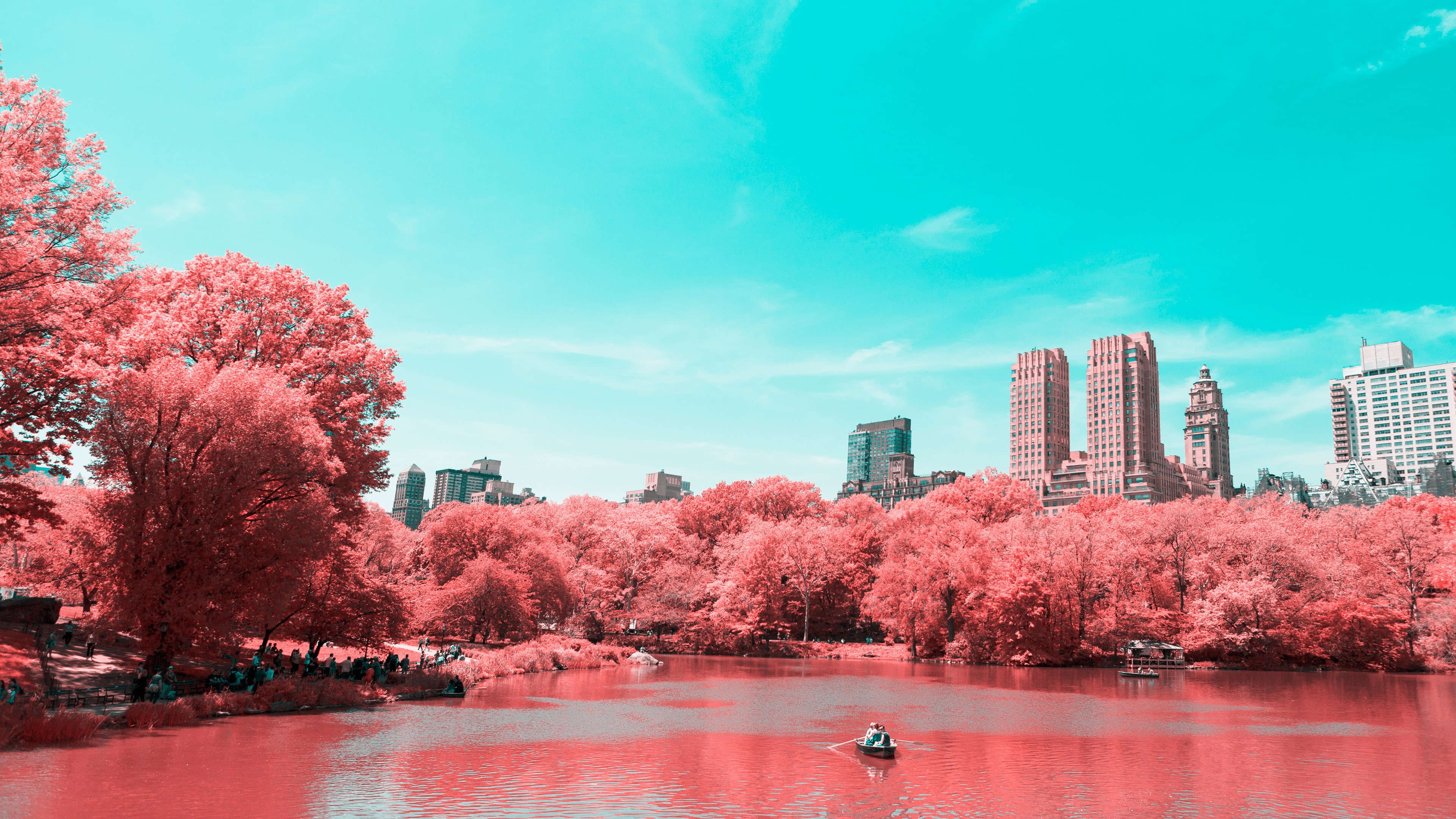 Lake, Manhattan, Infrared, 4K, 4K, New York City, Central Park, HD Wallpaper
